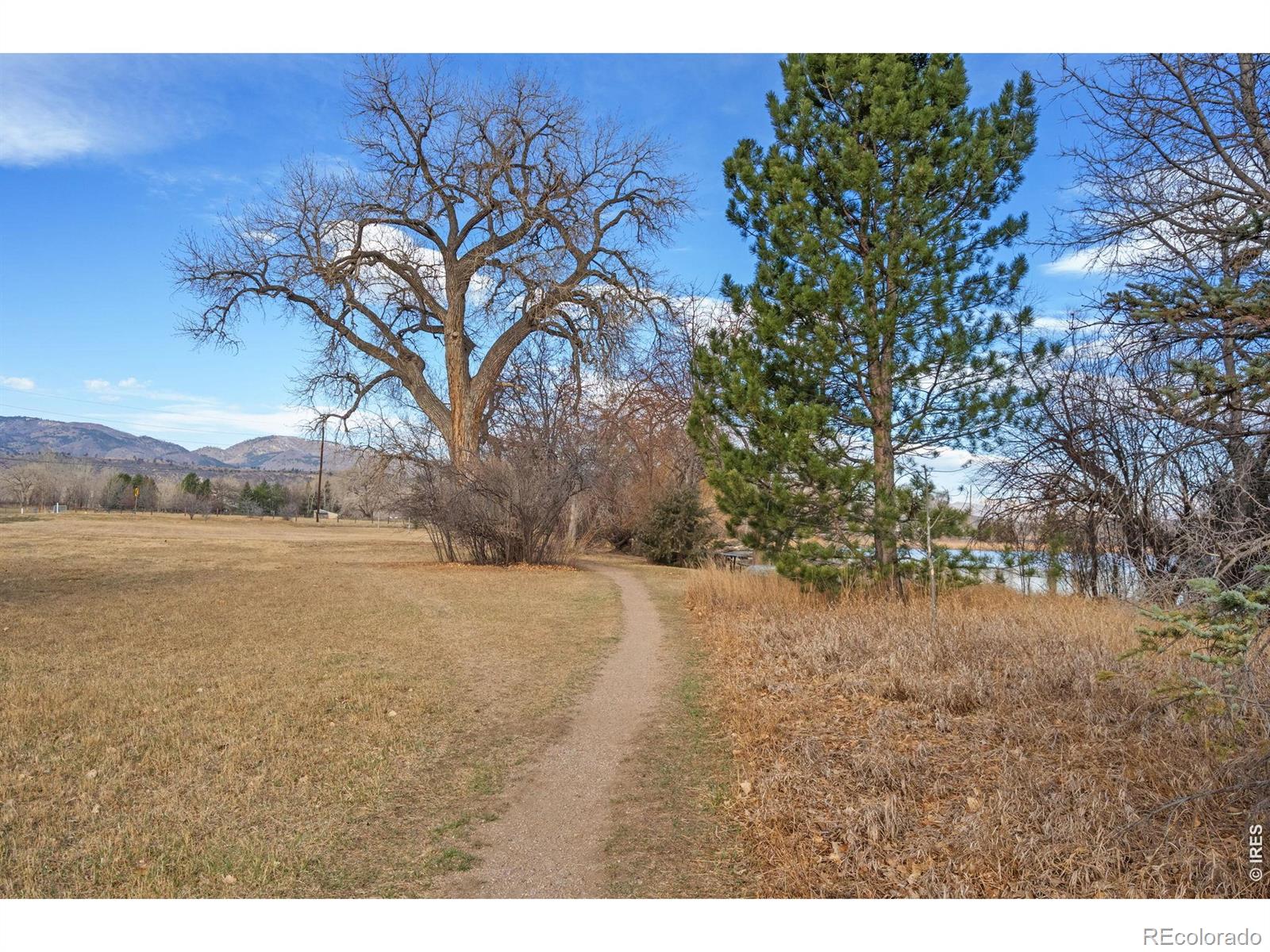 MLS Image #39 for 3000  marion street,fort collins, Colorado