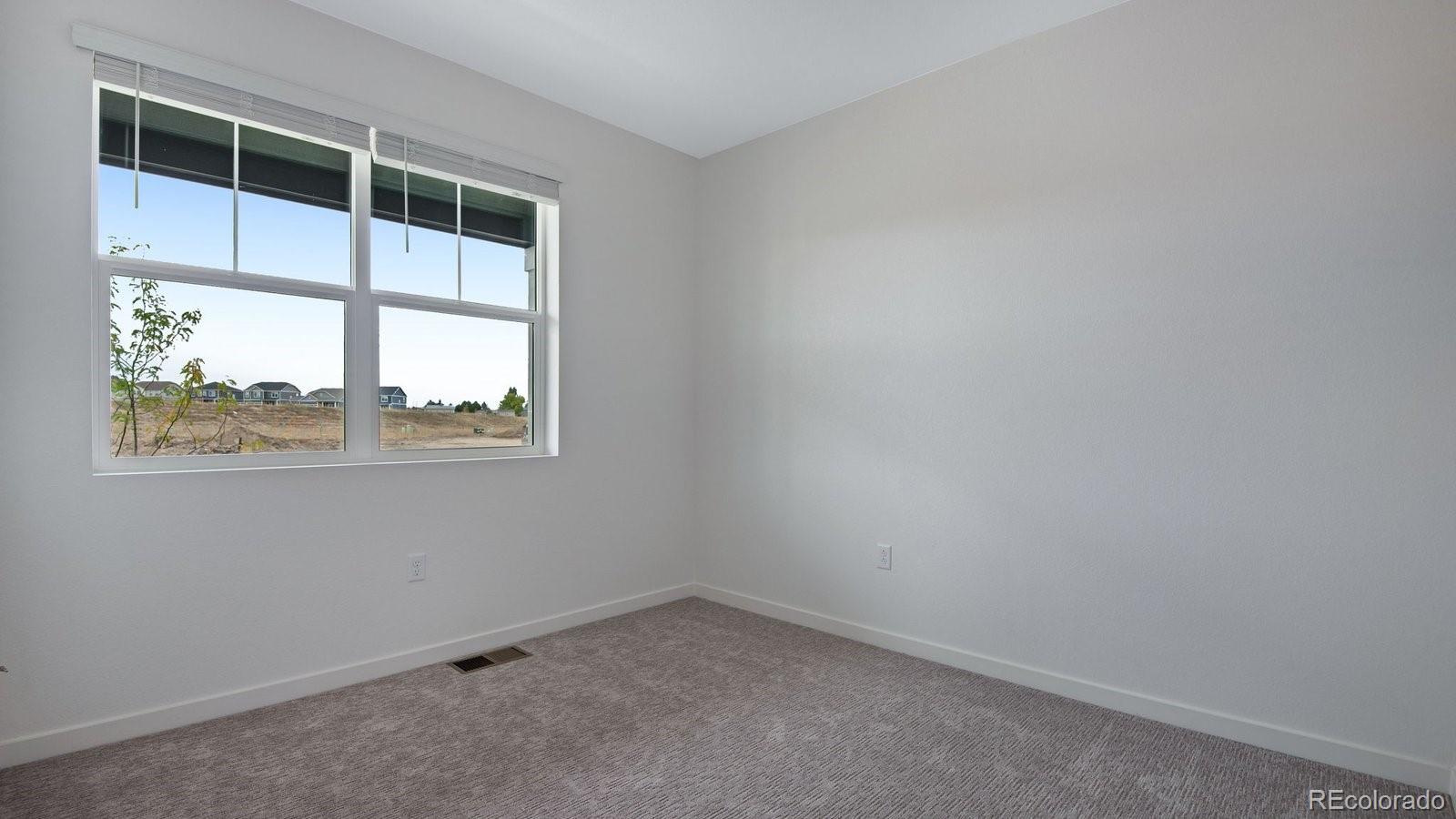 MLS Image #29 for 14234  beebalm avenue,parker, Colorado