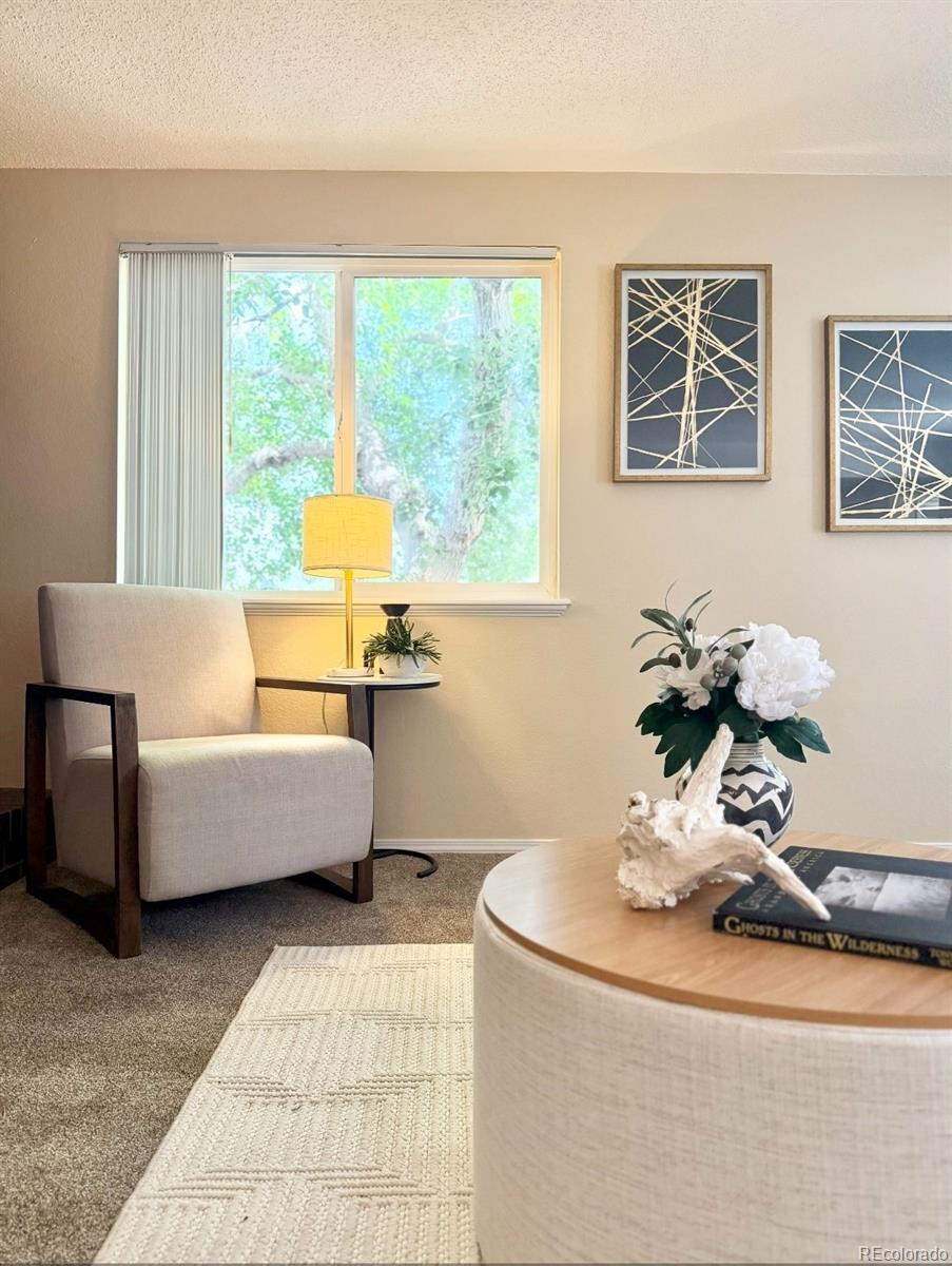 MLS Image #15 for 9313 w 91st place,broomfield, Colorado