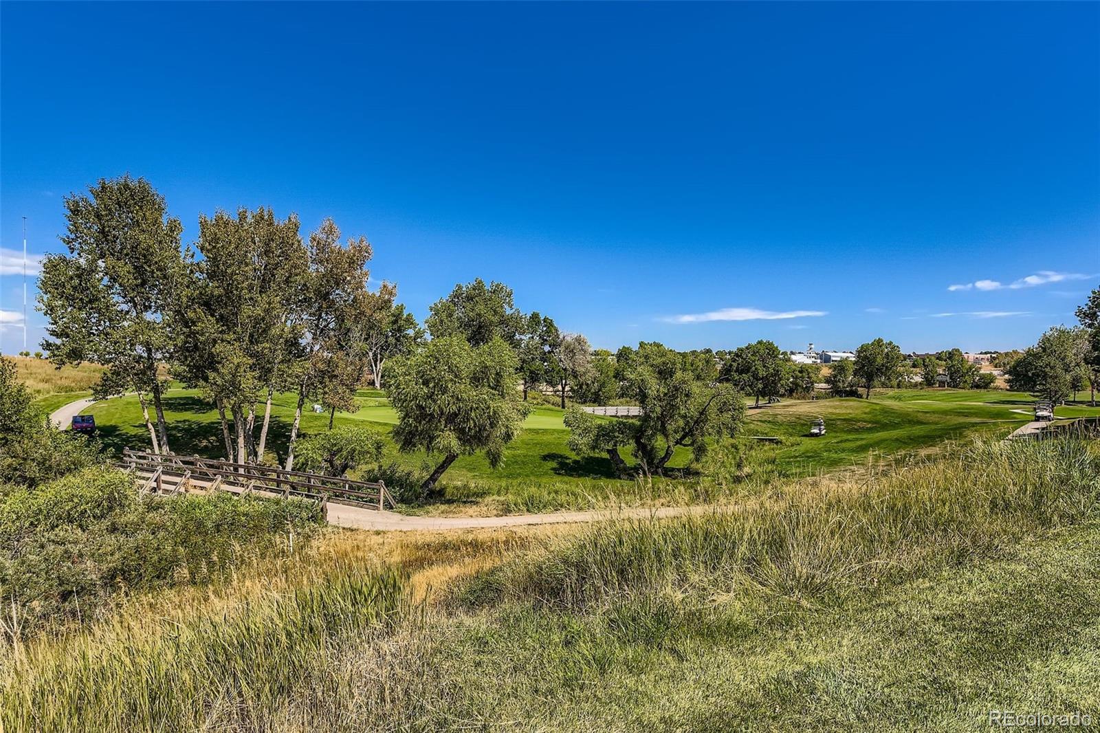 MLS Image #26 for 102  canongate lane,highlands ranch, Colorado