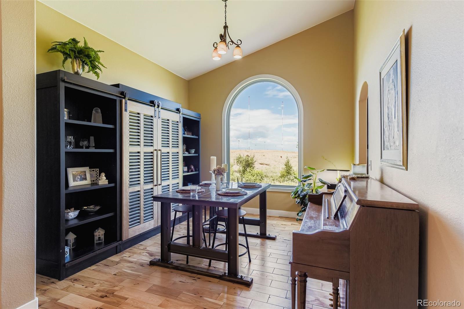 MLS Image #8 for 102  canongate lane,highlands ranch, Colorado