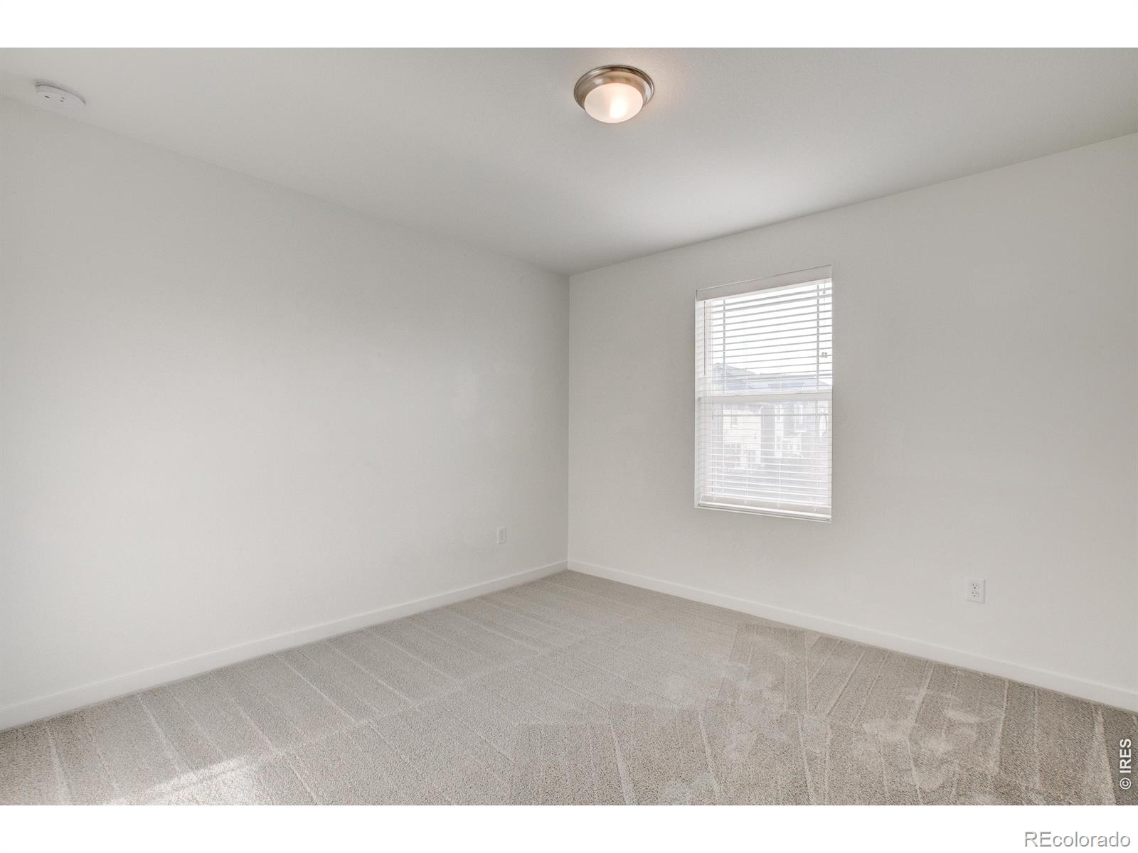 MLS Image #19 for 2631  painted turtle avenue,loveland, Colorado