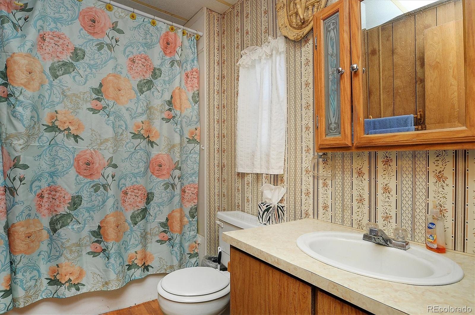 MLS Image #15 for 602  vine street,salida, Colorado