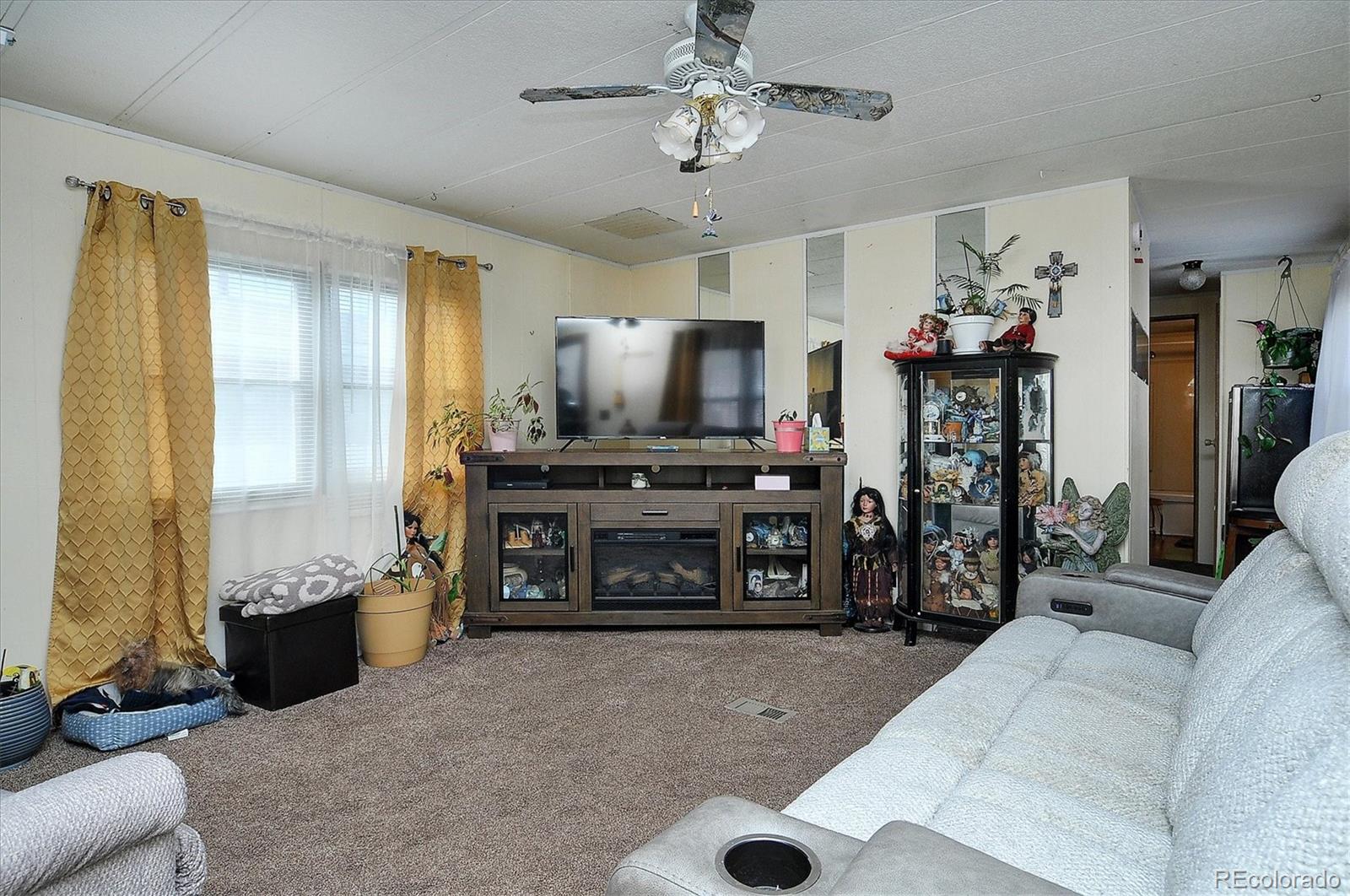 MLS Image #4 for 602  vine street,salida, Colorado