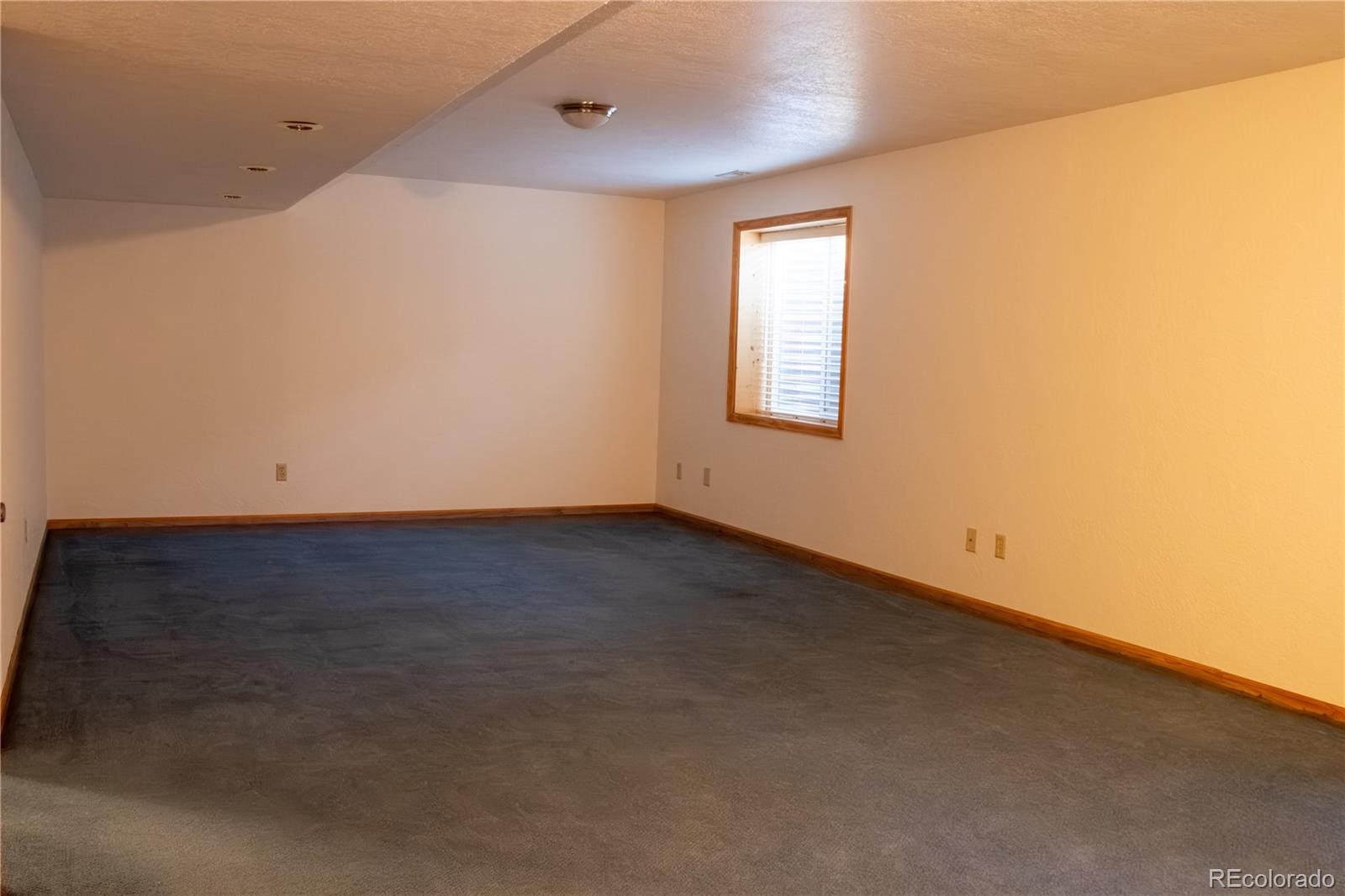 MLS Image #28 for 3025  commodore drive,colorado springs, Colorado