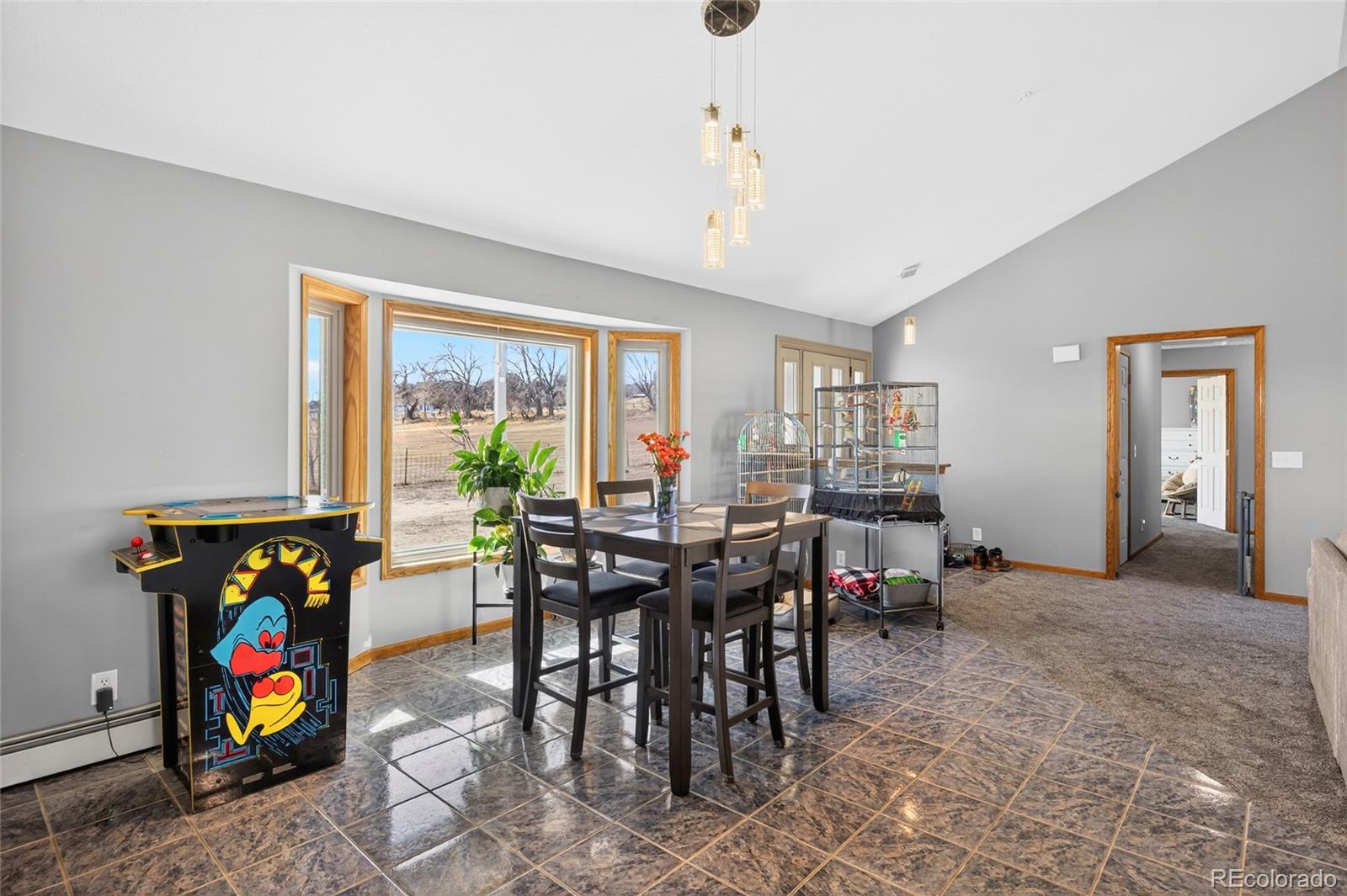 MLS Image #10 for 11470  riverdale road,denver, Colorado