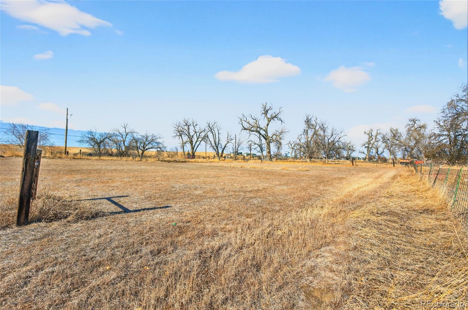MLS Image #40 for 11470  riverdale road,denver, Colorado