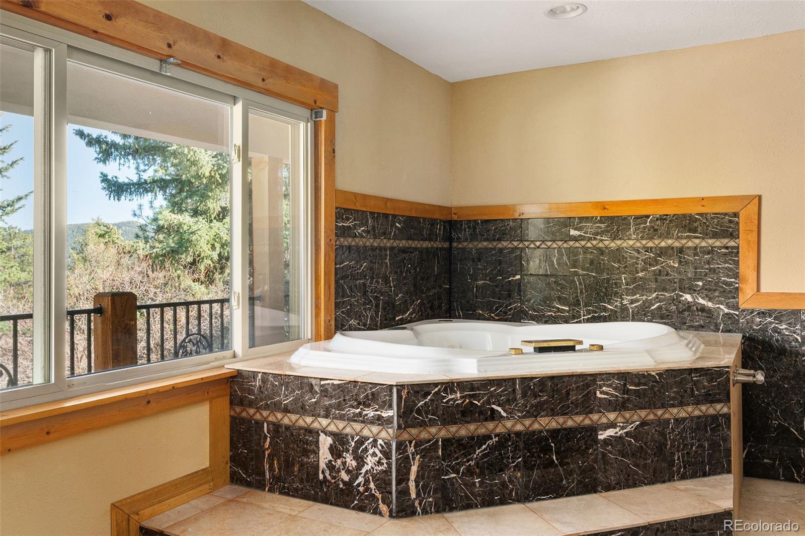 MLS Image #20 for 96  carolyn road,evergreen, Colorado