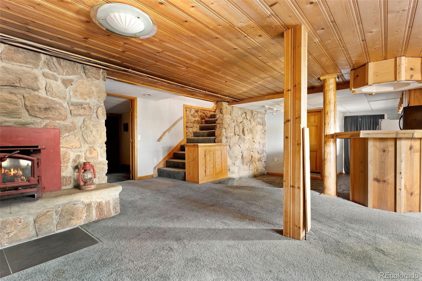 MLS Image #28 for 96  carolyn road,evergreen, Colorado