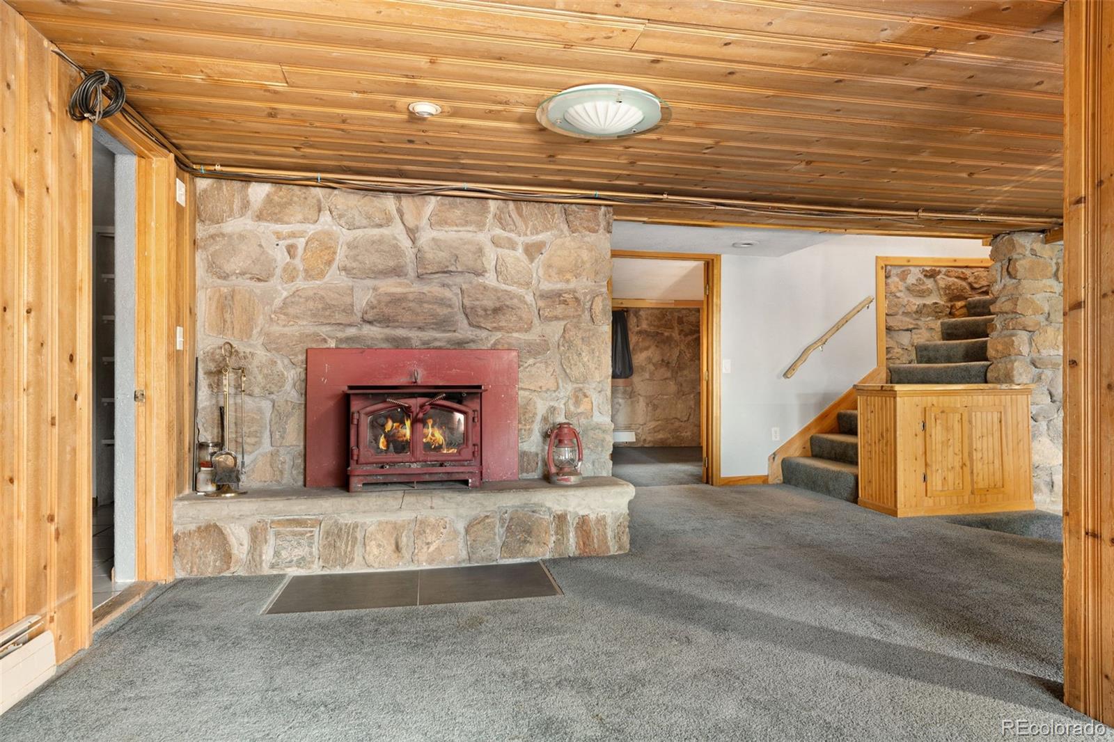 MLS Image #29 for 96  carolyn road,evergreen, Colorado