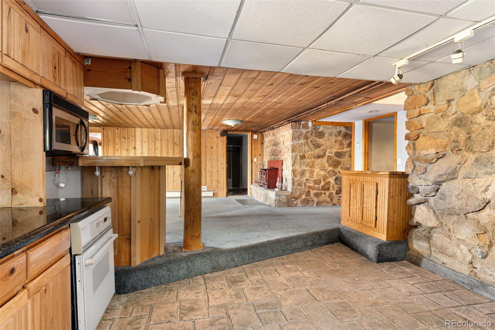 MLS Image #30 for 96  carolyn road,evergreen, Colorado