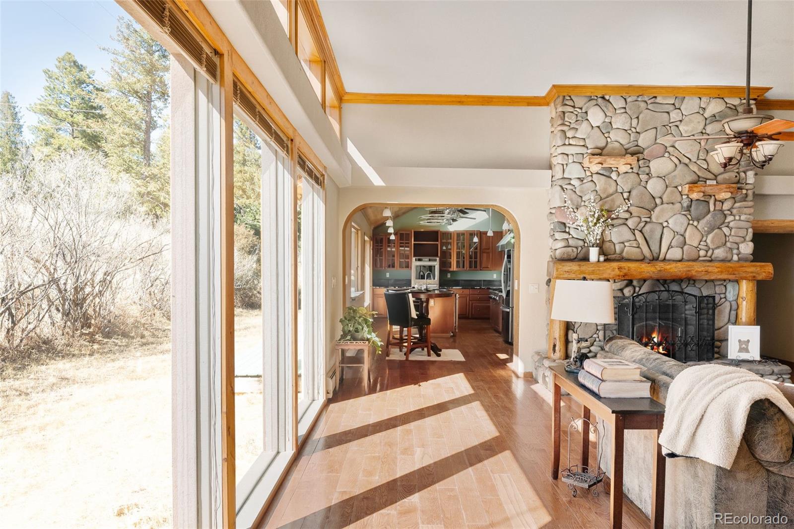 MLS Image #6 for 96  carolyn road,evergreen, Colorado