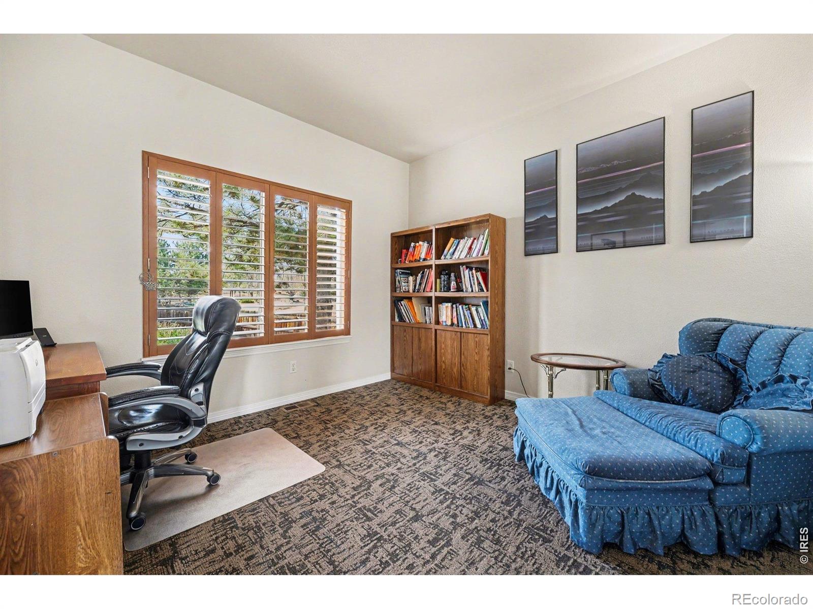 MLS Image #13 for 10617  clarke farms drive,parker, Colorado