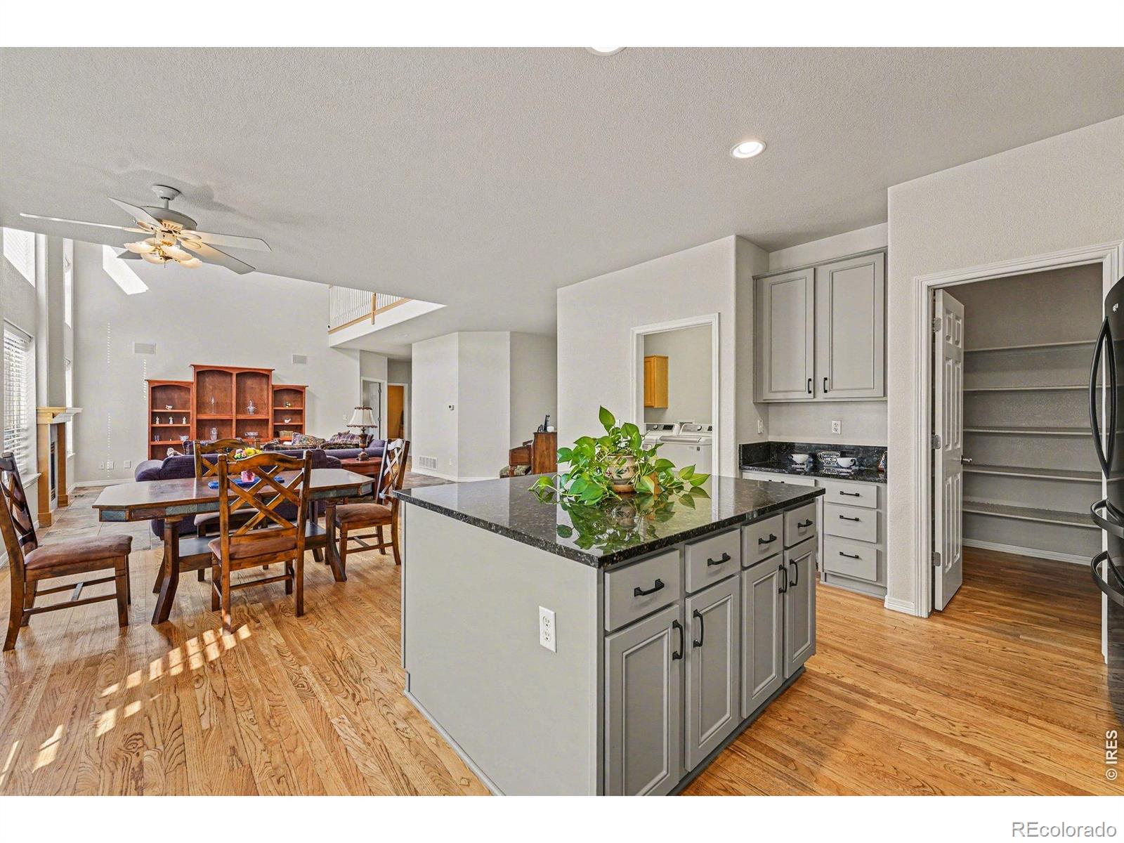 MLS Image #4 for 10617  clarke farms drive,parker, Colorado