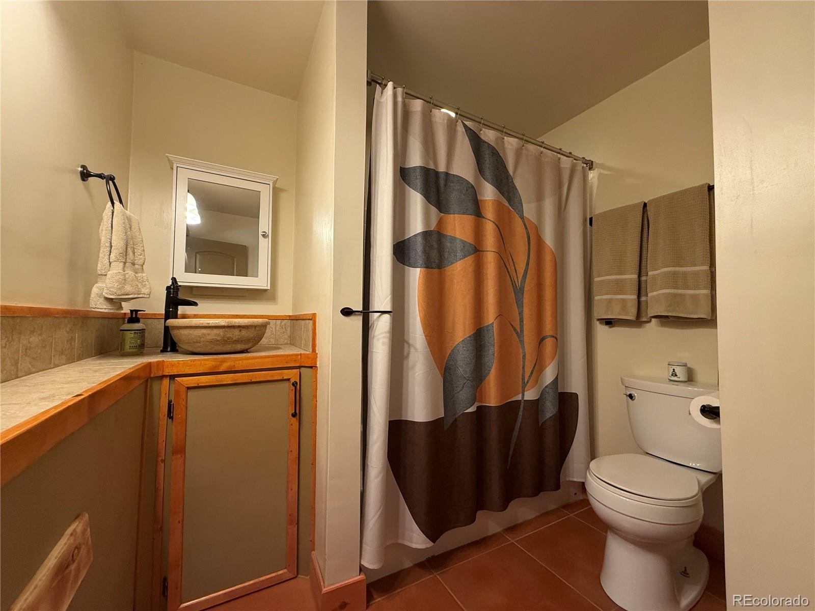 MLS Image #14 for 19643  viking spirit way,san luis, Colorado