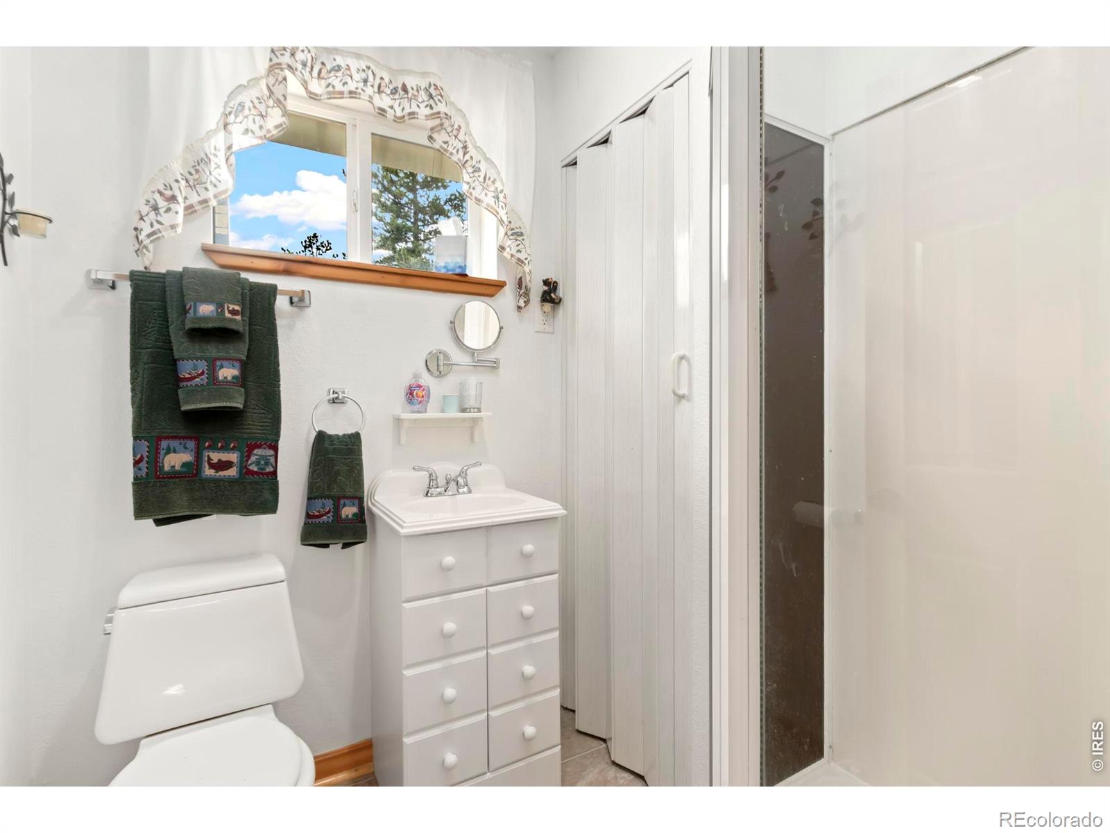 MLS Image #11 for 67  timicua court,red feather lakes, Colorado