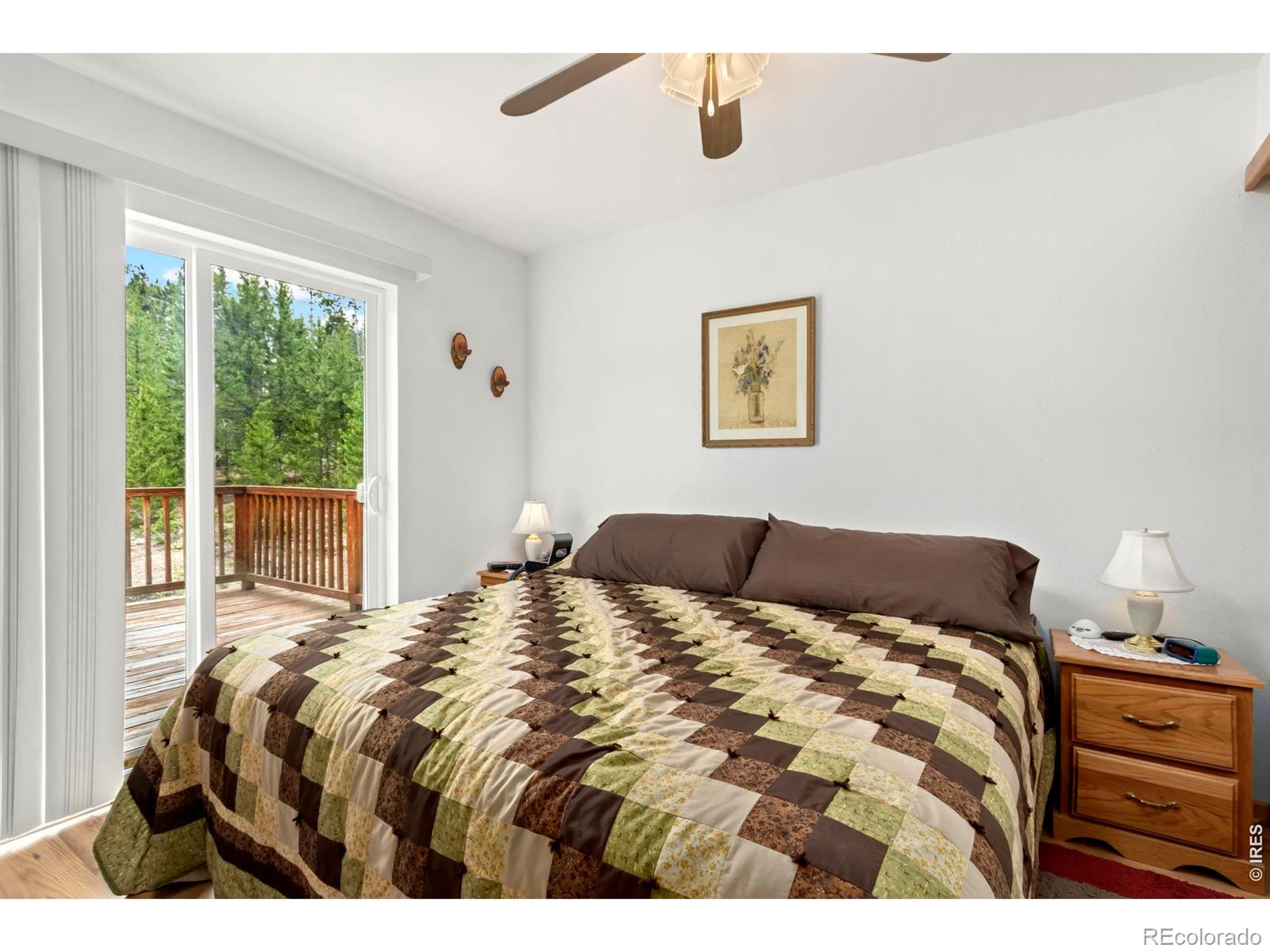 MLS Image #8 for 67  timicua court,red feather lakes, Colorado