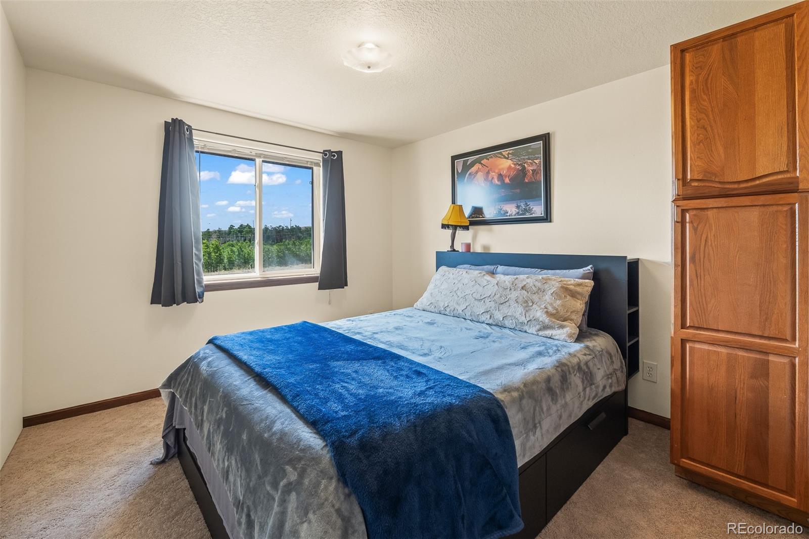 MLS Image #27 for 6037  ranch road,hartsel, Colorado