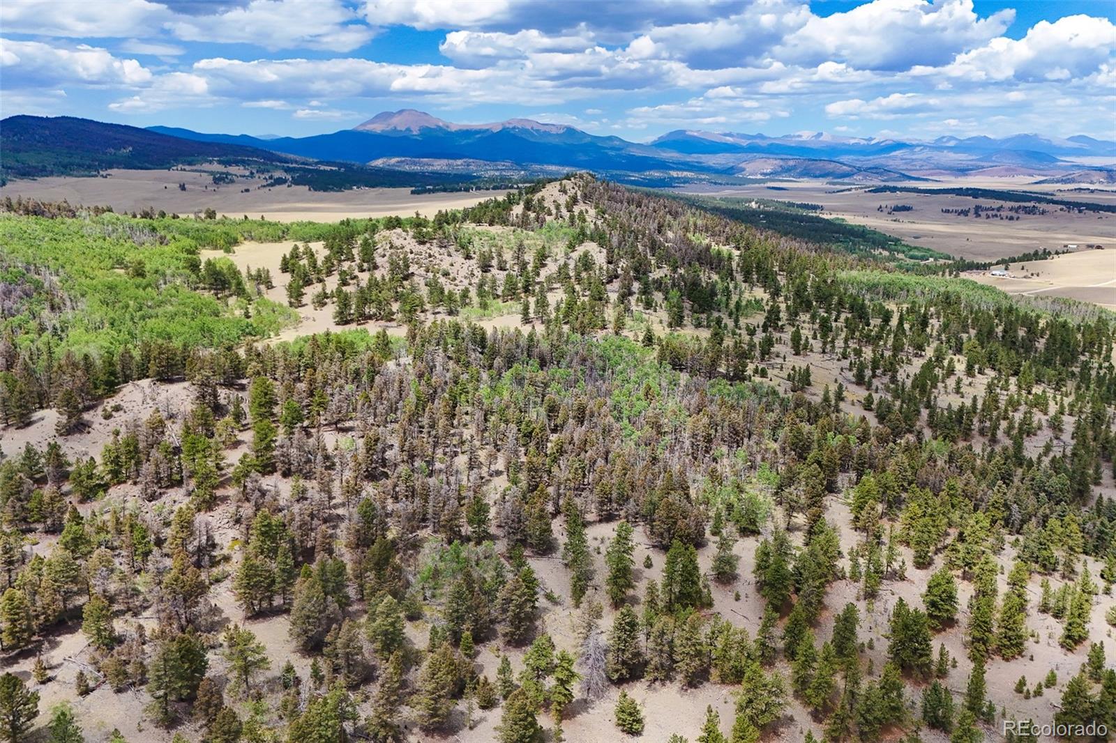 MLS Image #6 for 6037  ranch road,hartsel, Colorado