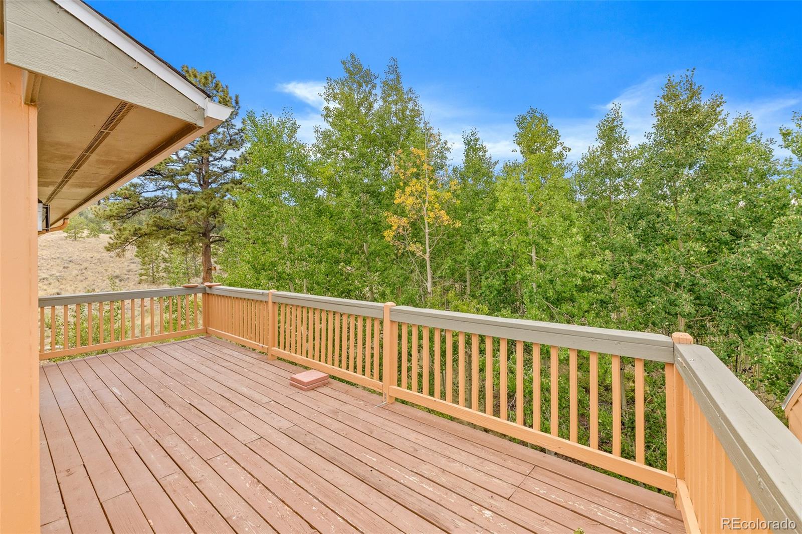 MLS Image #8 for 6037  ranch road,hartsel, Colorado