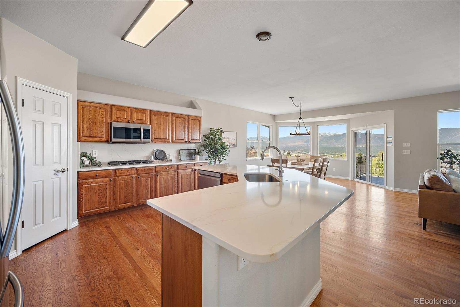 MLS Image #16 for 12328  mount baldy drive,colorado springs, Colorado