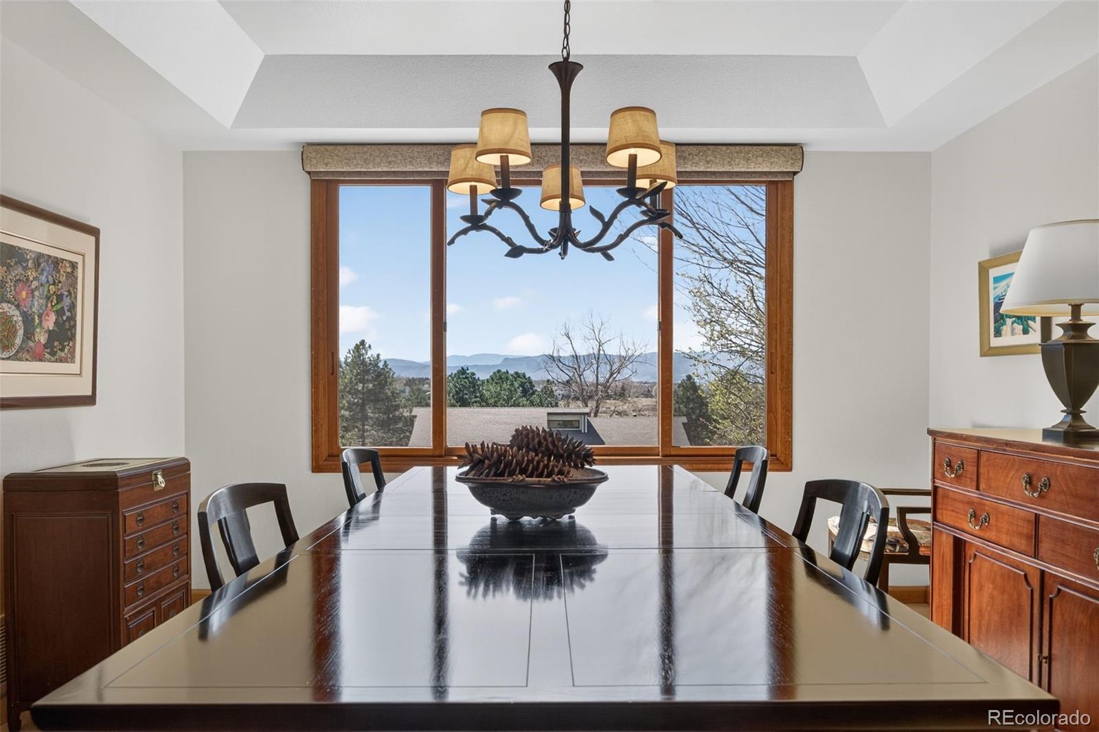 MLS Image #10 for 2452  terraridge drive,highlands ranch, Colorado