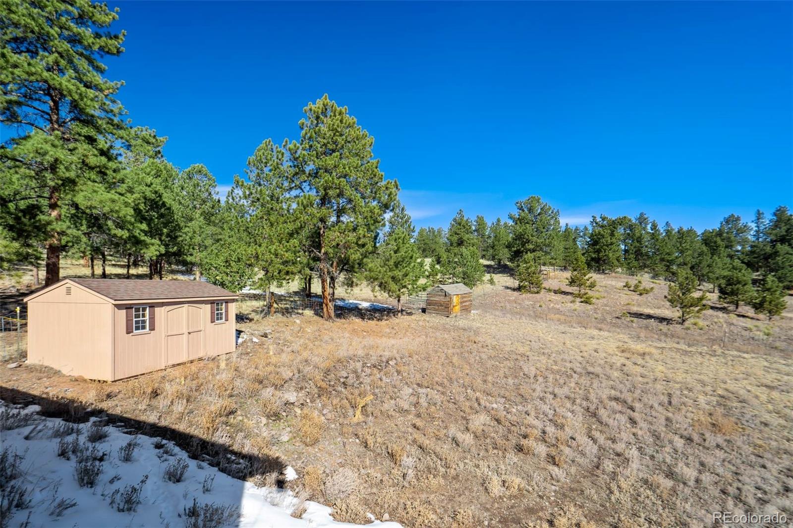 MLS Image #14 for 201  terry lane,guffey, Colorado