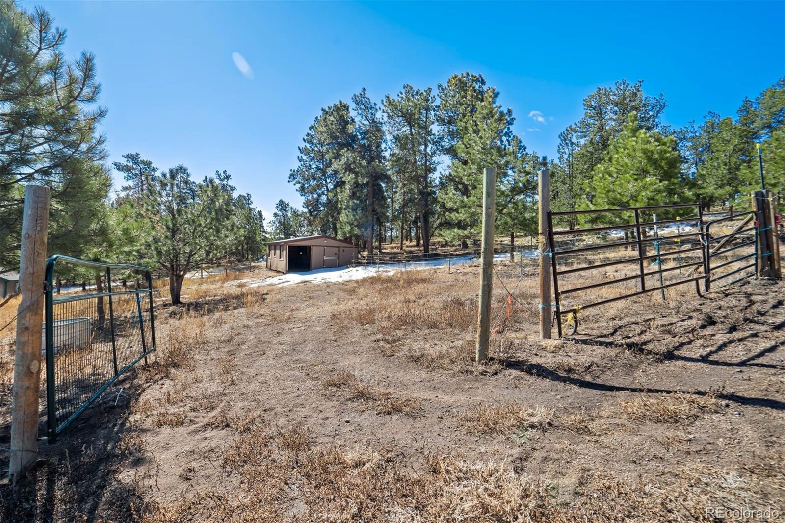 MLS Image #44 for 201  terry lane,guffey, Colorado