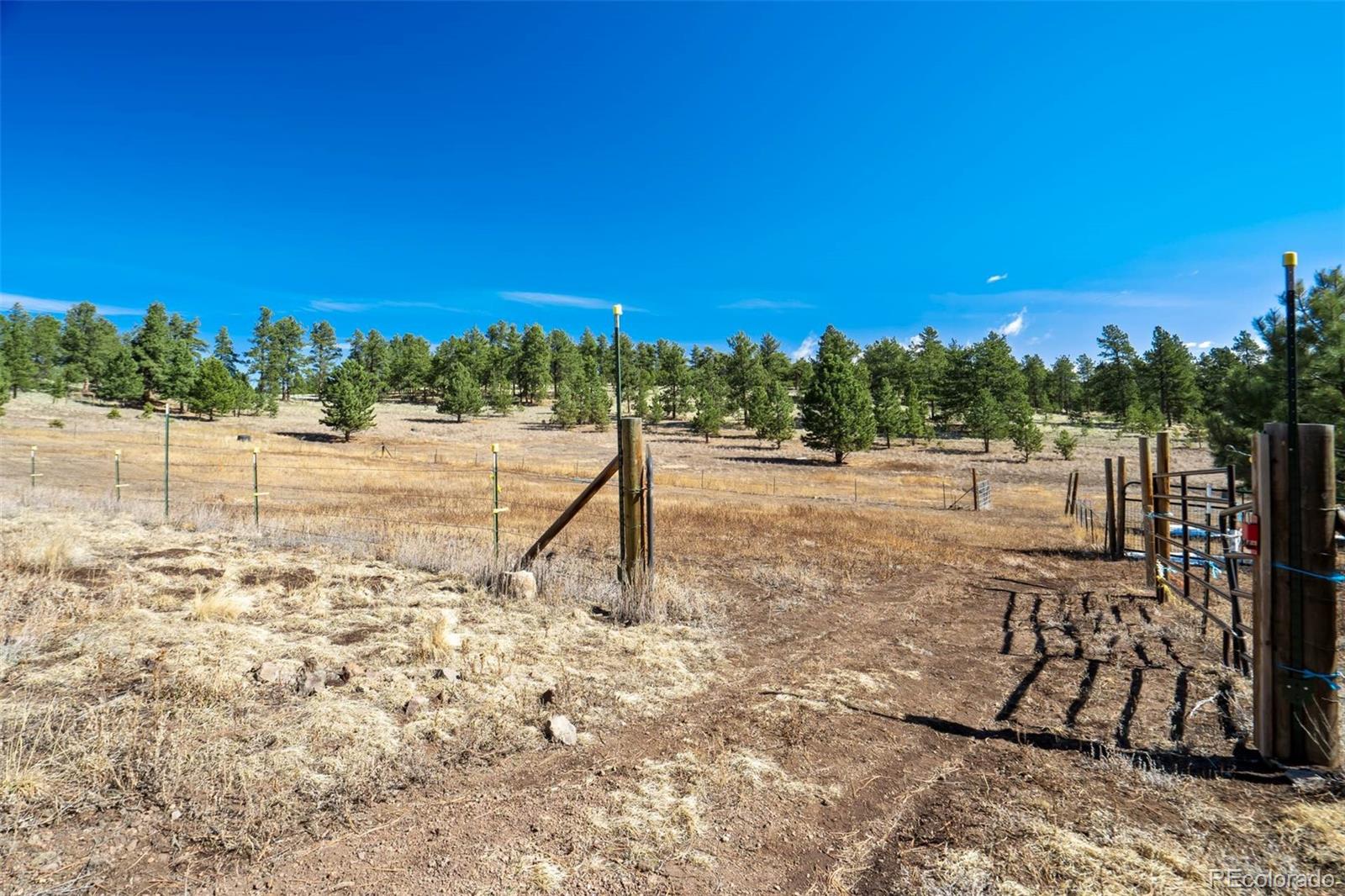 MLS Image #45 for 201  terry lane,guffey, Colorado