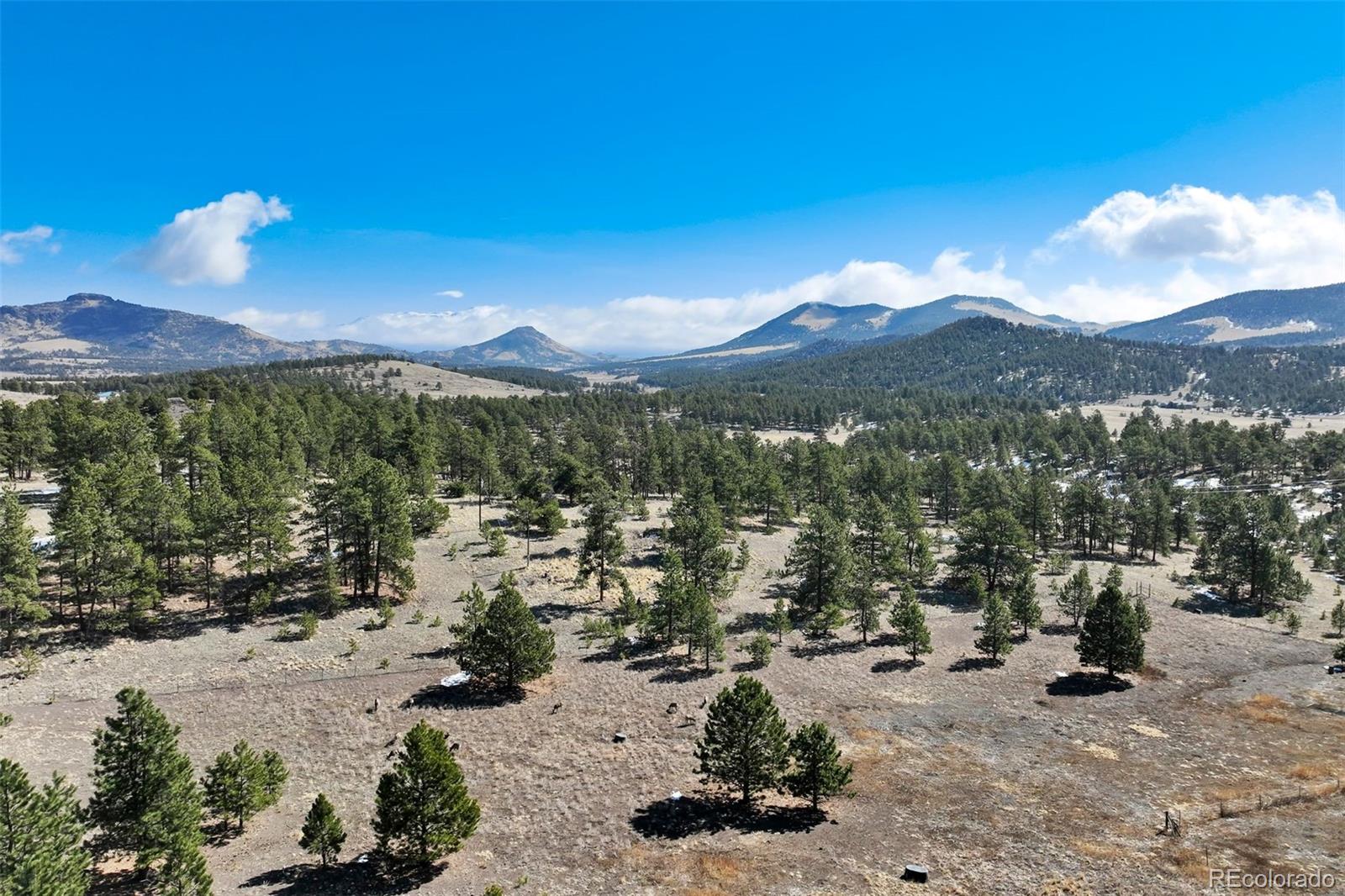 MLS Image #47 for 201  terry lane,guffey, Colorado