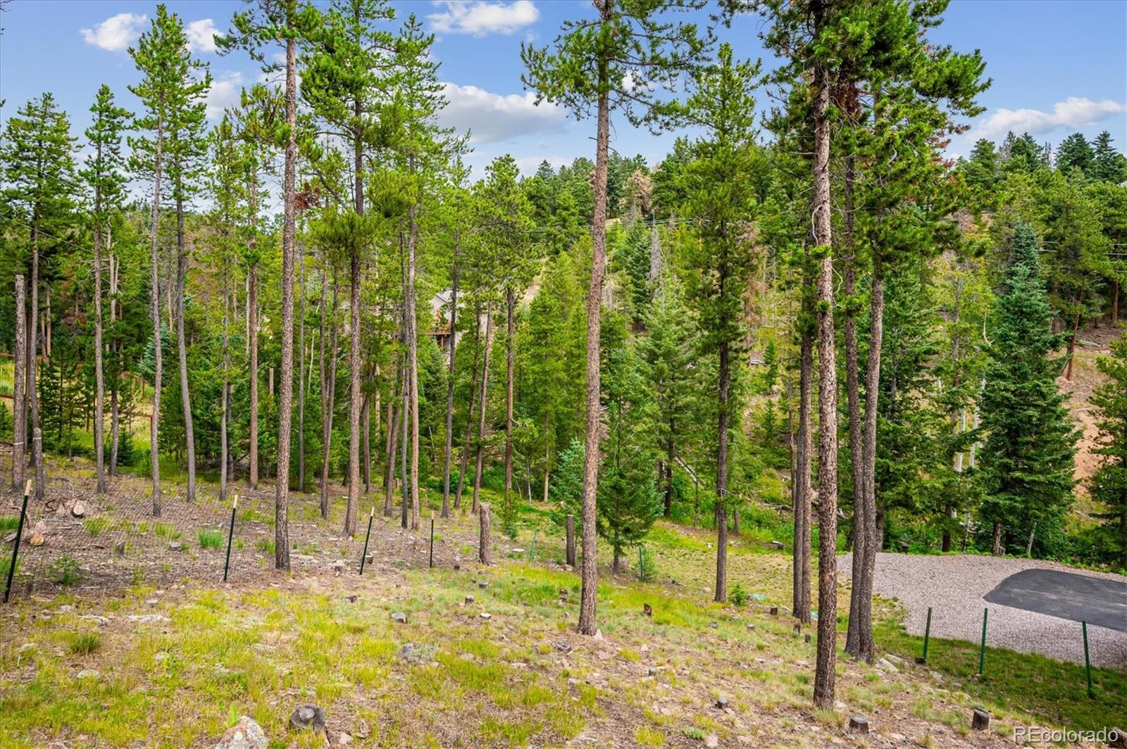 MLS Image #14 for 34155  grouse lane,evergreen, Colorado