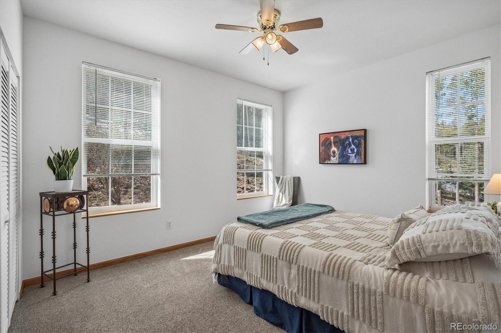 MLS Image #31 for 34155  grouse lane,evergreen, Colorado
