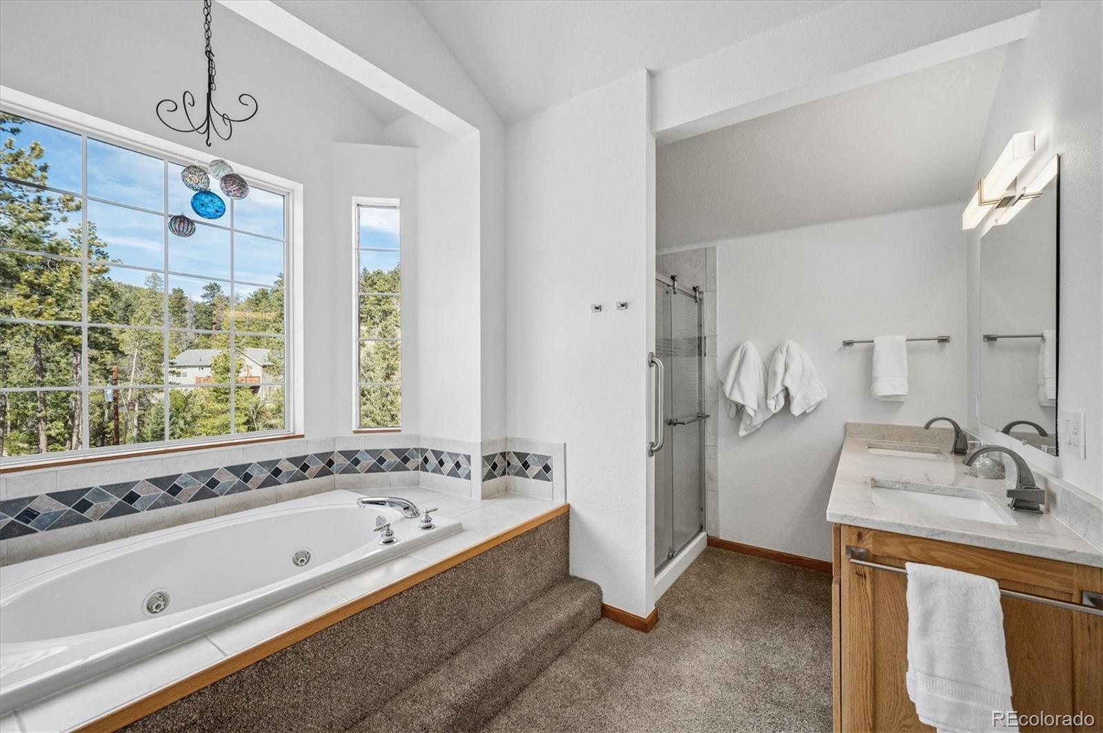 MLS Image #38 for 34155  grouse lane,evergreen, Colorado