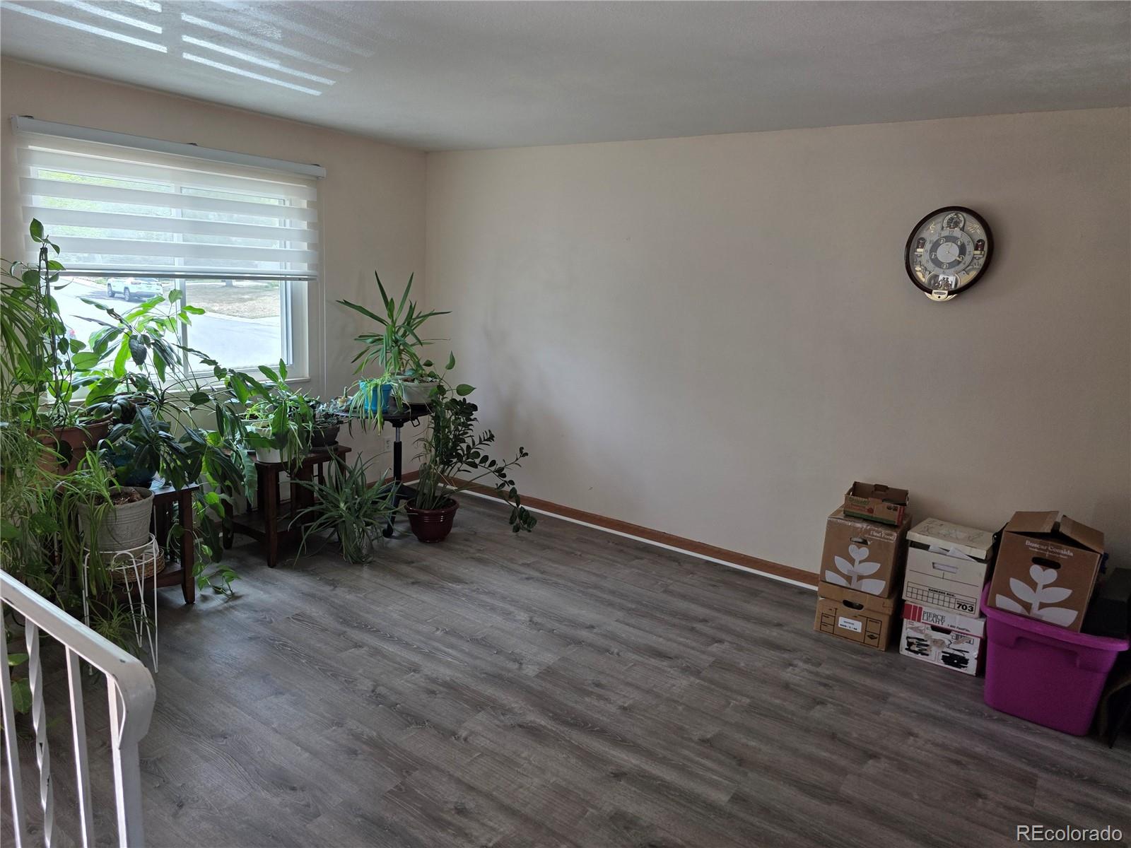 MLS Image #8 for 10513  pierson circle,broomfield, Colorado