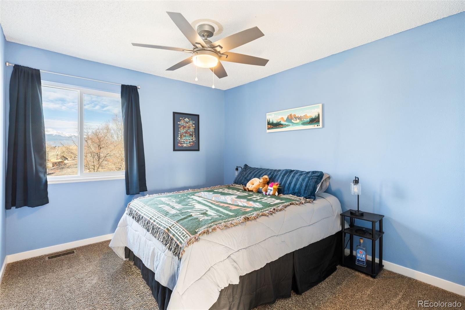 MLS Image #16 for 3205  cowhand drive,colorado springs, Colorado