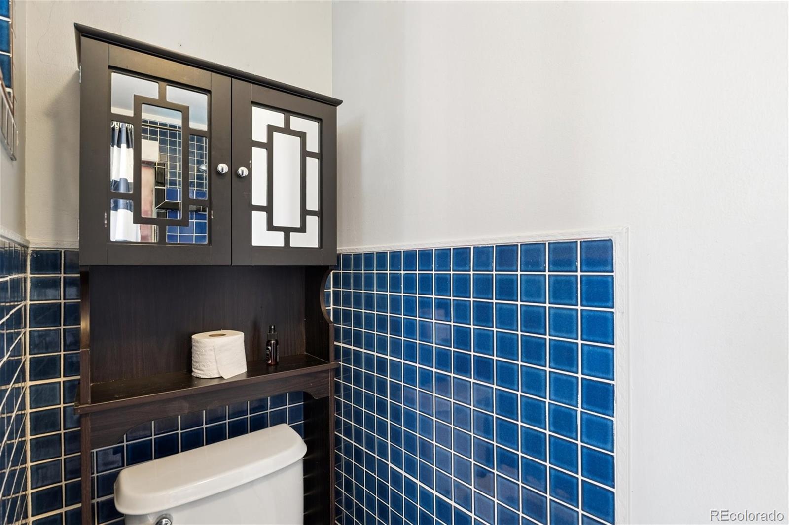 MLS Image #11 for 2030  martin luther king boulevard,denver, Colorado