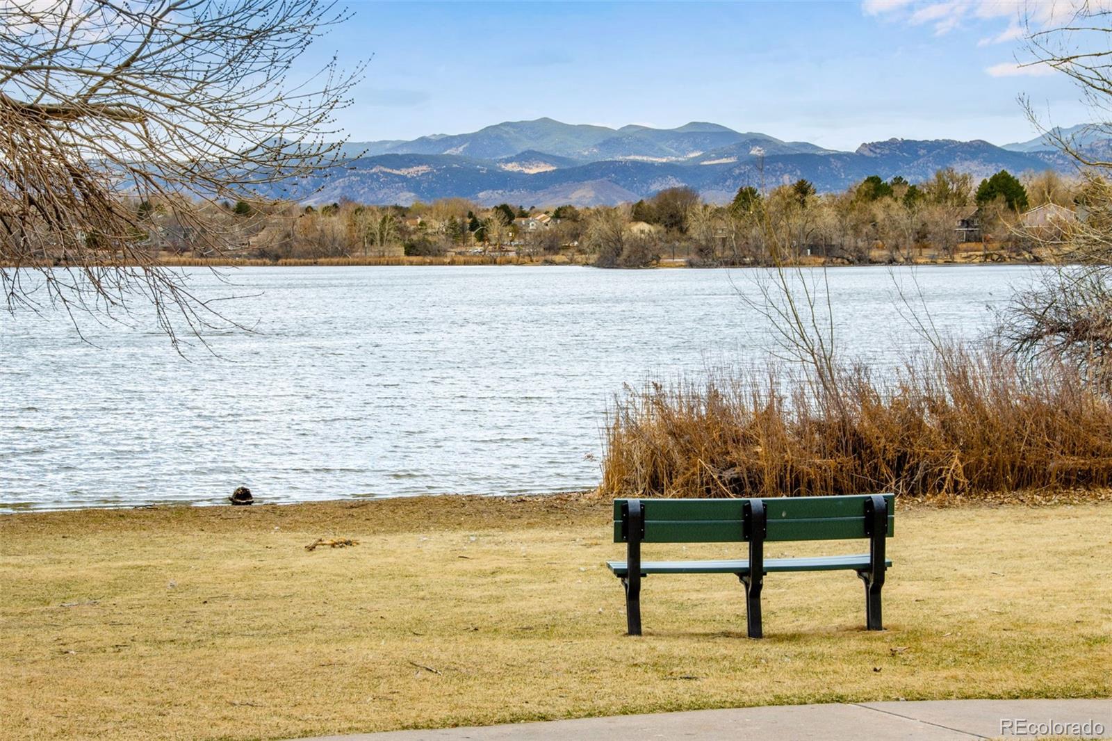 MLS Image #9 for 8601  garland court,arvada, Colorado
