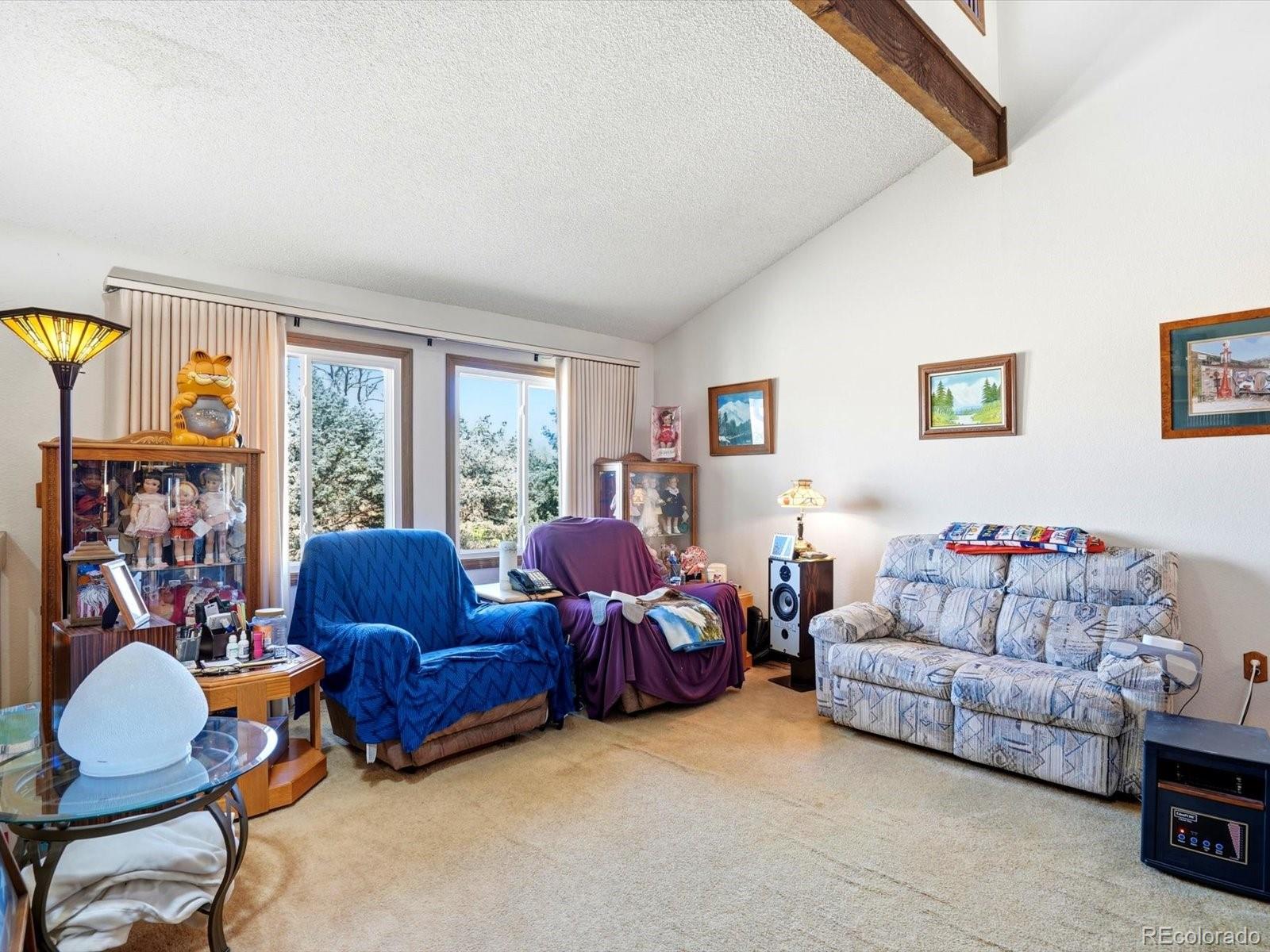 MLS Image #14 for 14661  garfield street,brighton, Colorado