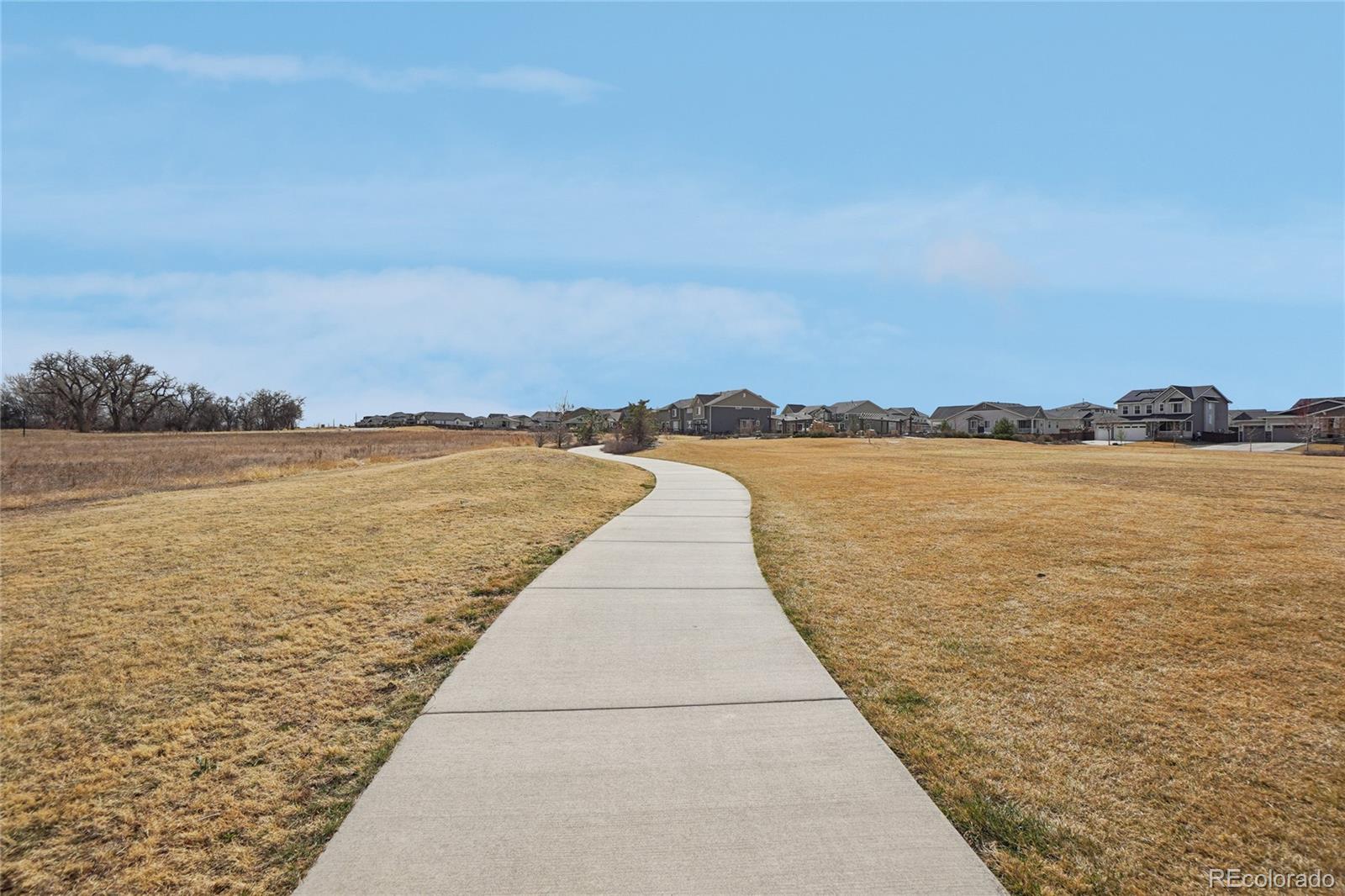 MLS Image #35 for 2998  kestrel street,brighton, Colorado