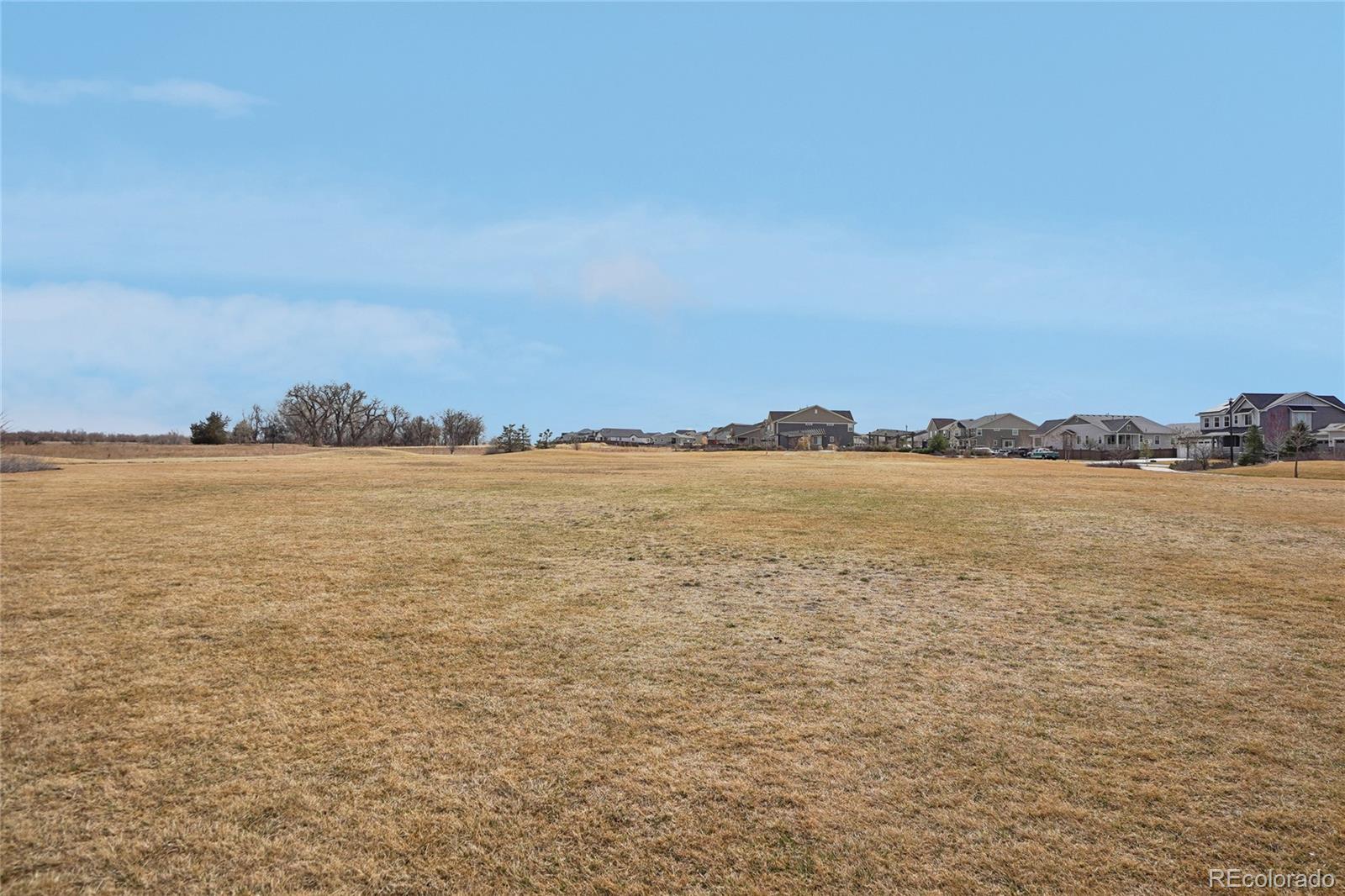 MLS Image #36 for 2998  kestrel street,brighton, Colorado