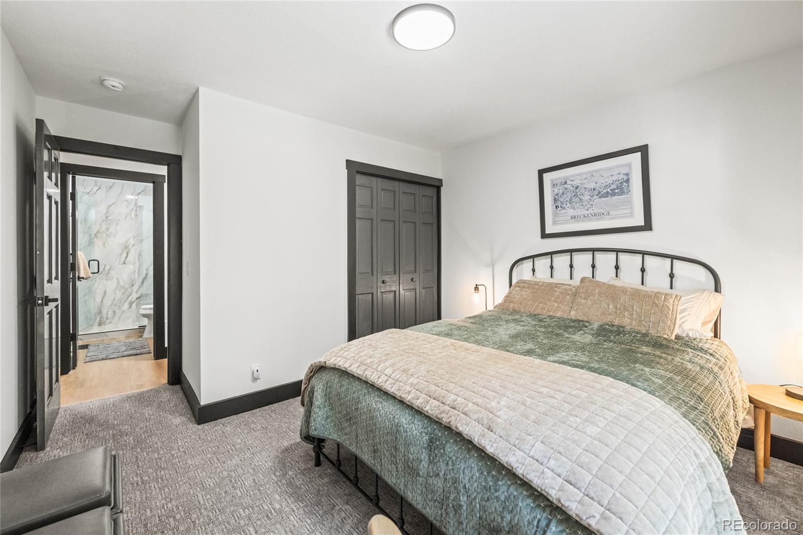 MLS Image #13 for 507  county road 674 ,blue river, Colorado
