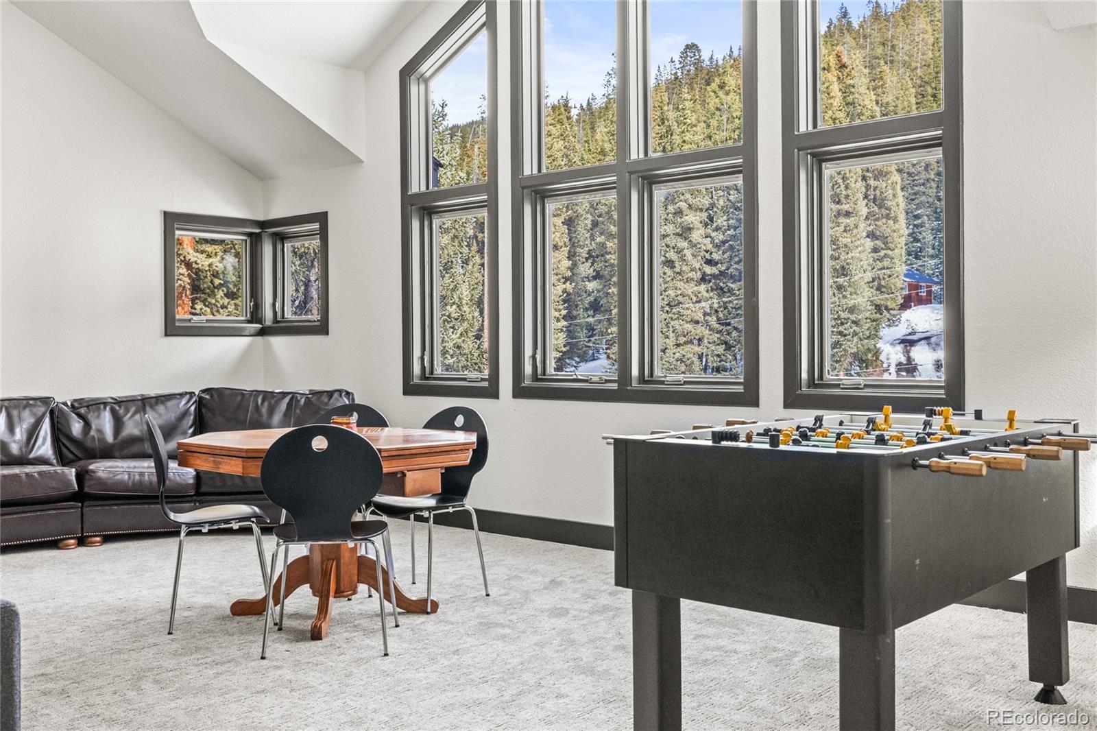 MLS Image #18 for 507  county road 674 ,blue river, Colorado