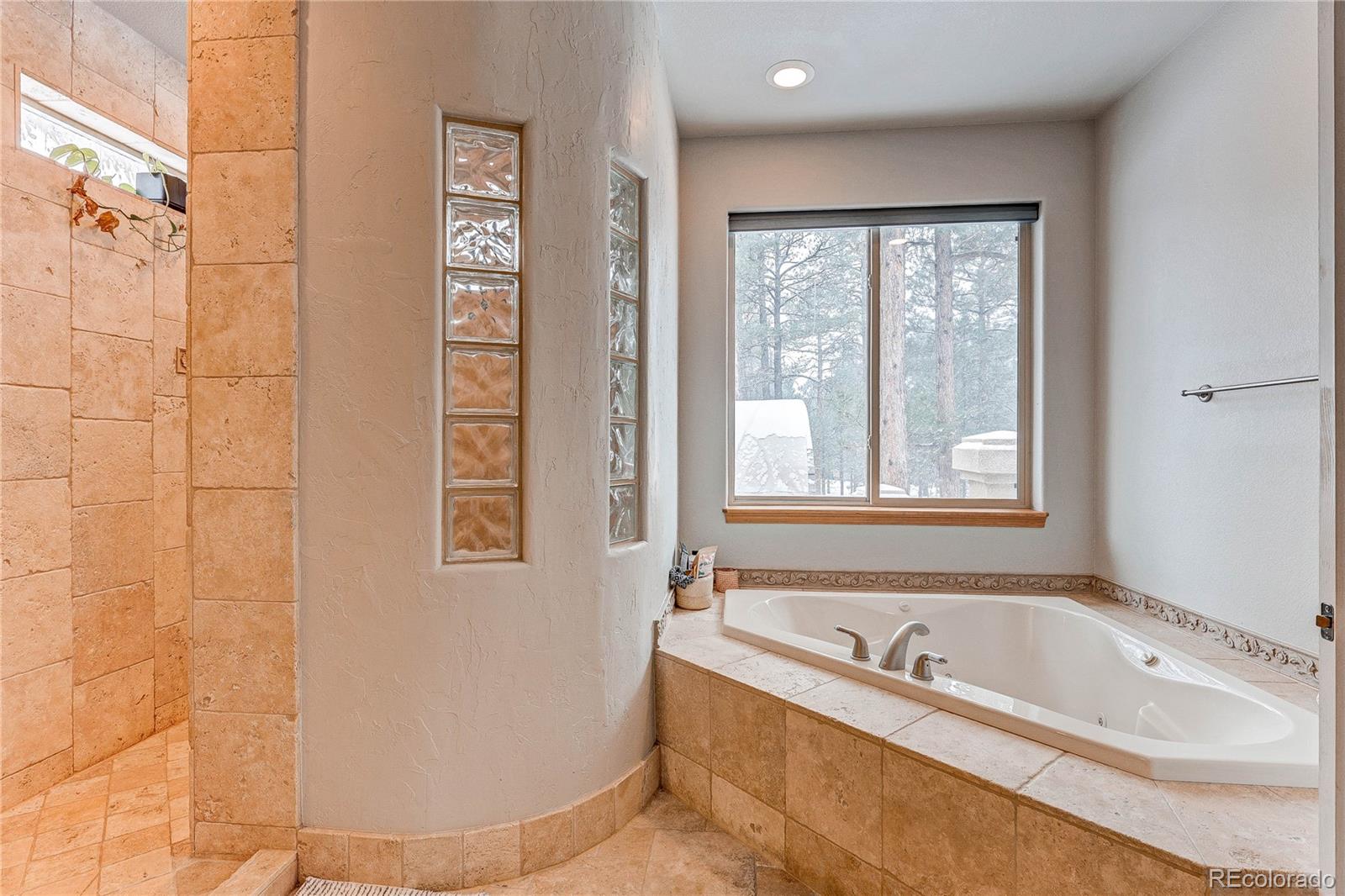 MLS Image #21 for 9364  shipman lane,colorado springs, Colorado