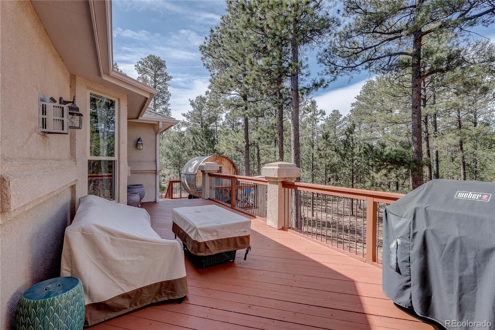 MLS Image #43 for 9364  shipman lane,colorado springs, Colorado