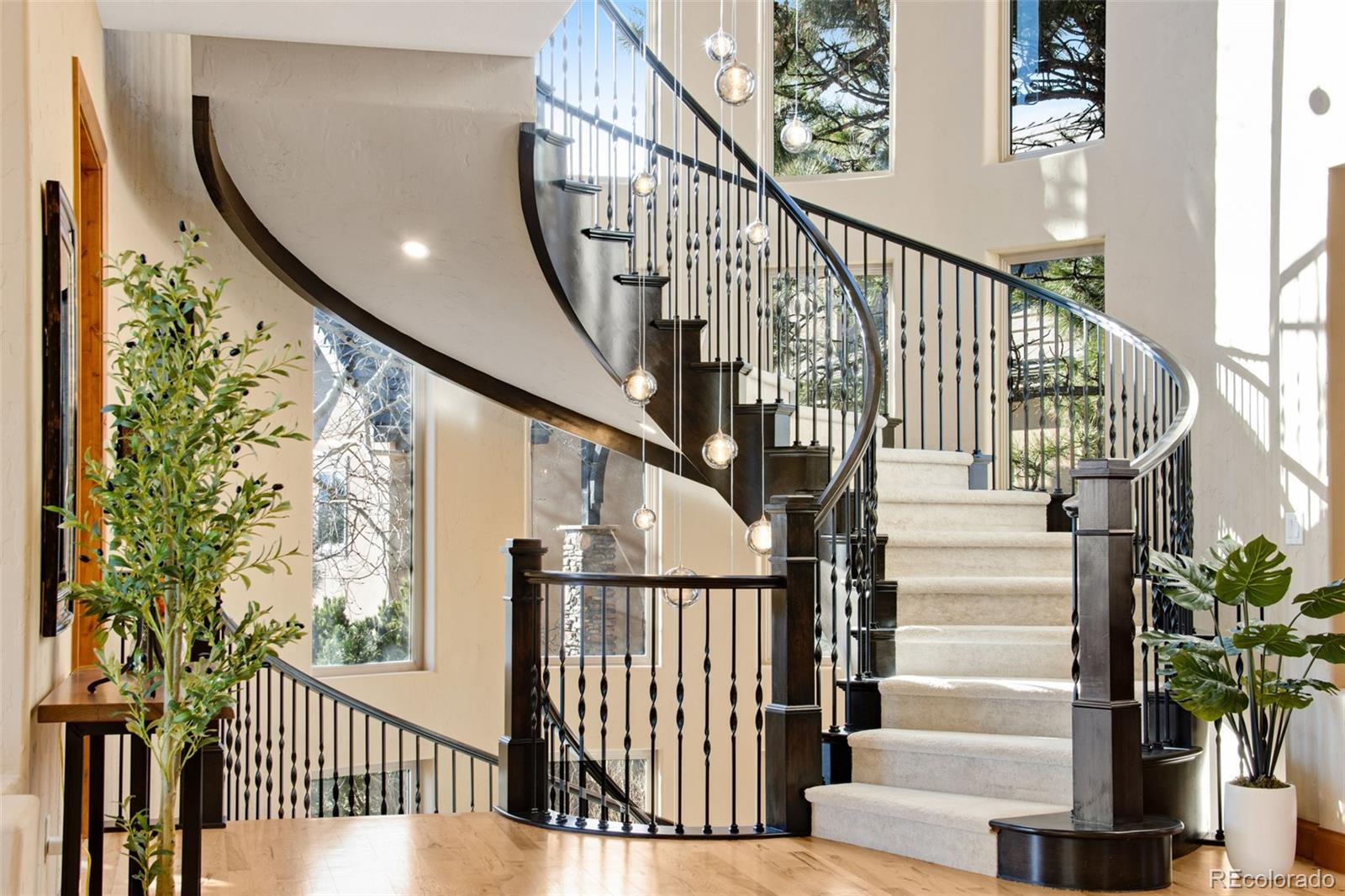 MLS Image #14 for 4433  tierra alta drive,castle rock, Colorado