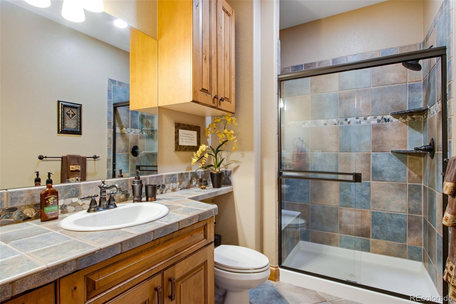 MLS Image #38 for 4433  tierra alta drive,castle rock, Colorado
