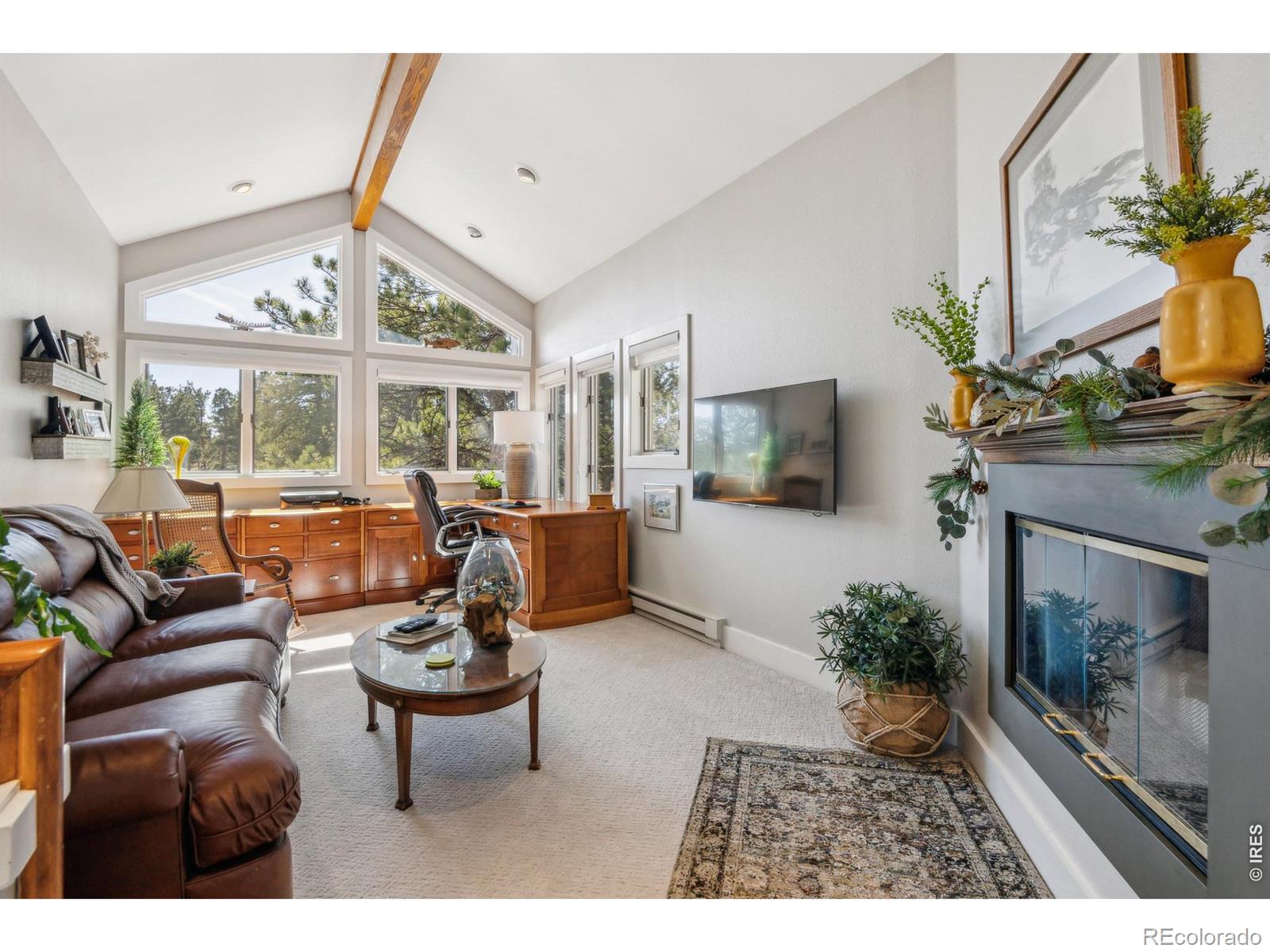 MLS Image #10 for 146  ponderosa court,red feather lakes, Colorado