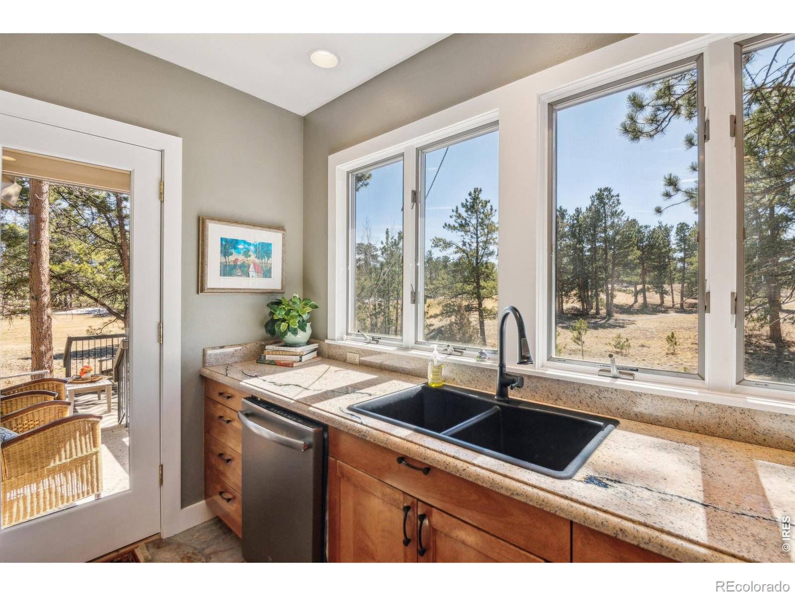 MLS Image #3 for 146  ponderosa court,red feather lakes, Colorado