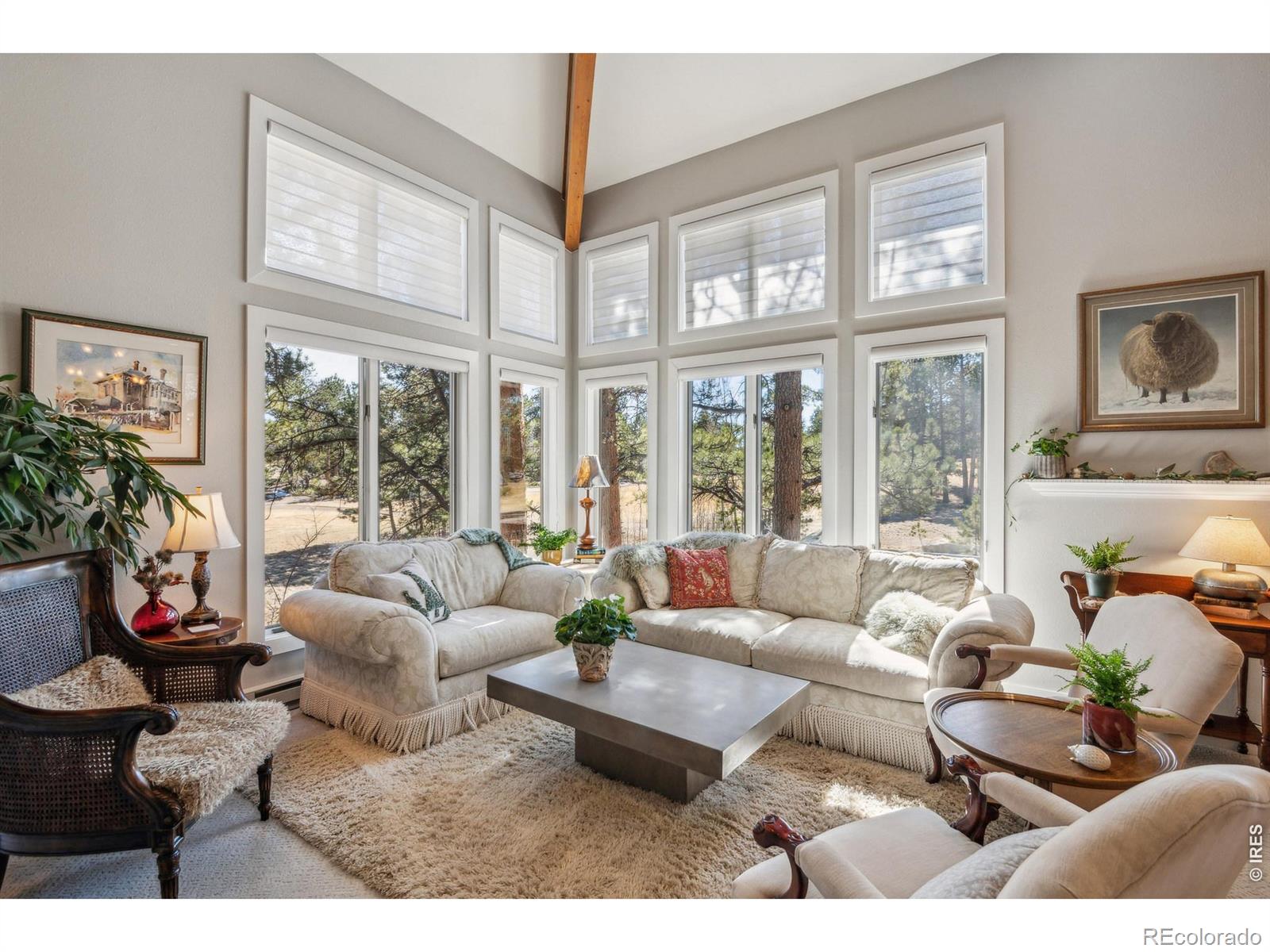 MLS Image #5 for 146  ponderosa court,red feather lakes, Colorado