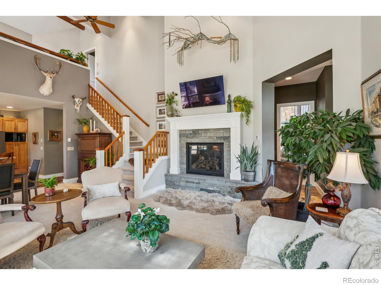 MLS Image #6 for 146  ponderosa court,red feather lakes, Colorado